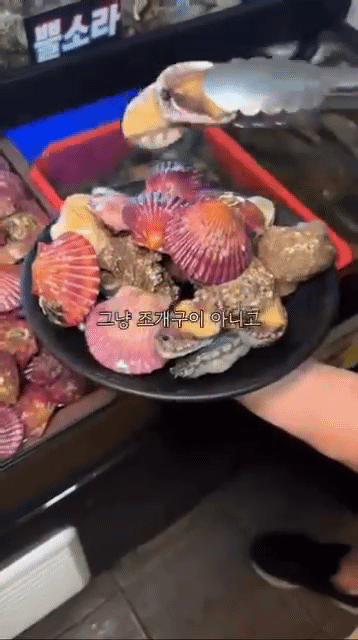 무한조개