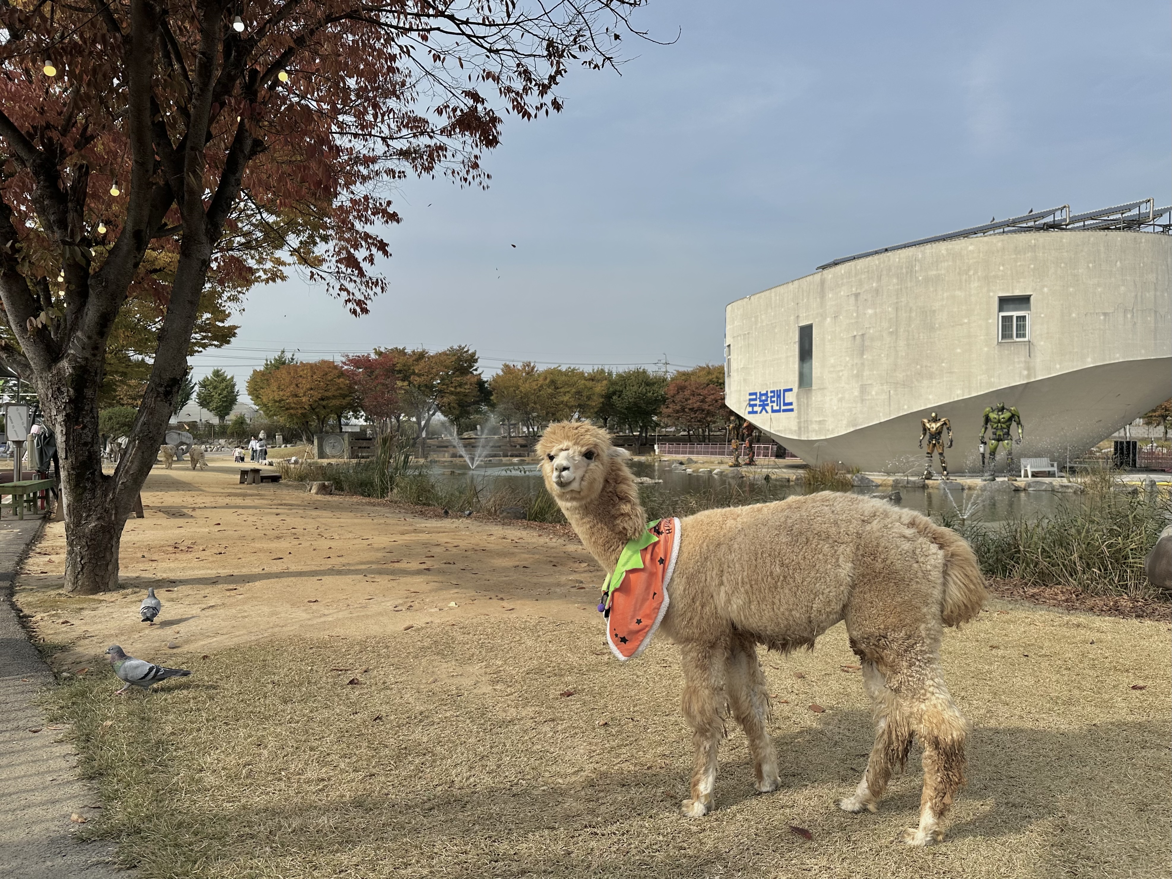 개들랜드 경상 애견맛집