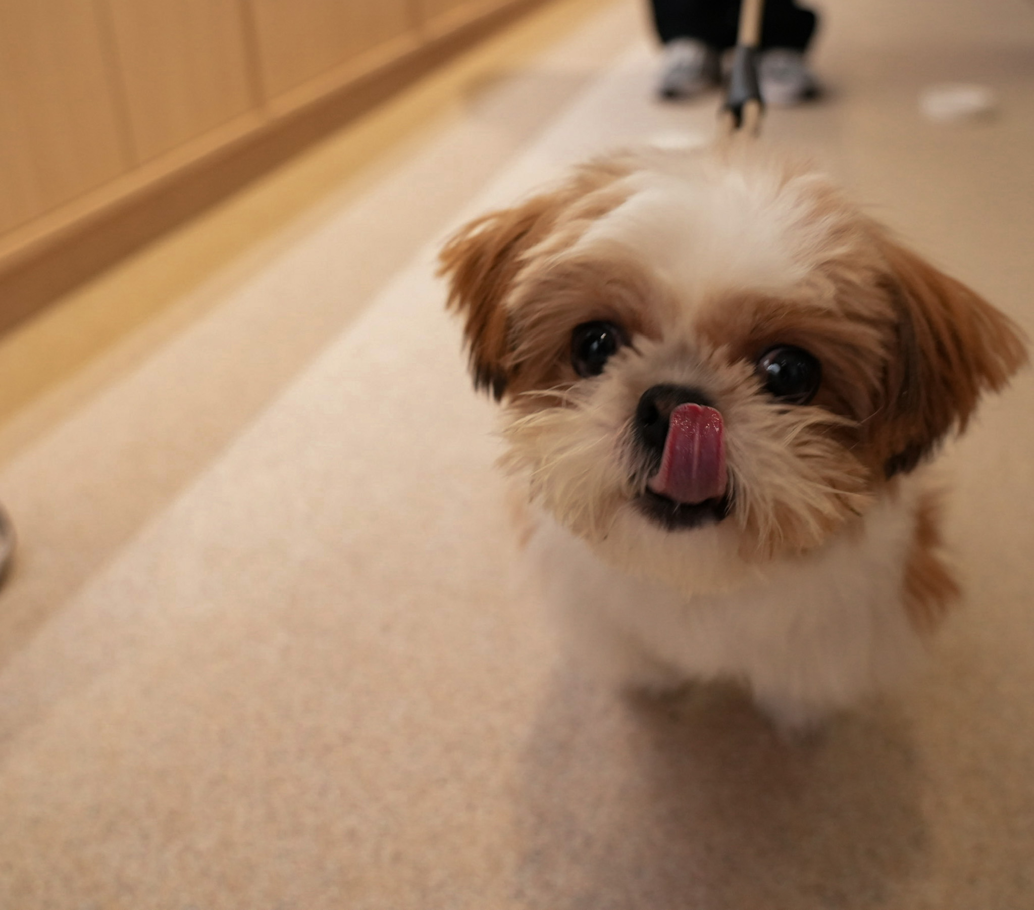 가까 왕십리점 매장 내부