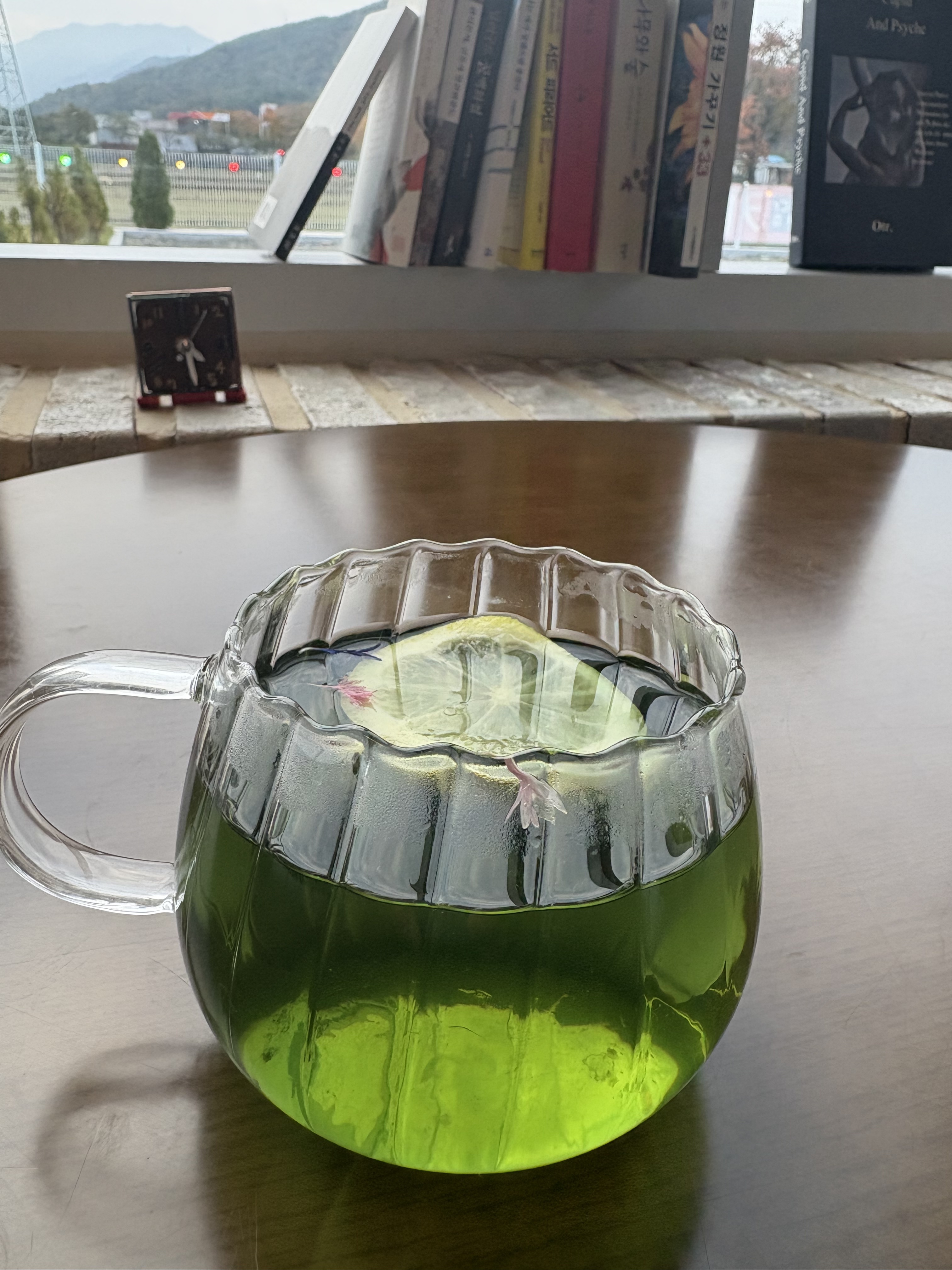 ✨ 힐링 가든티 ✨