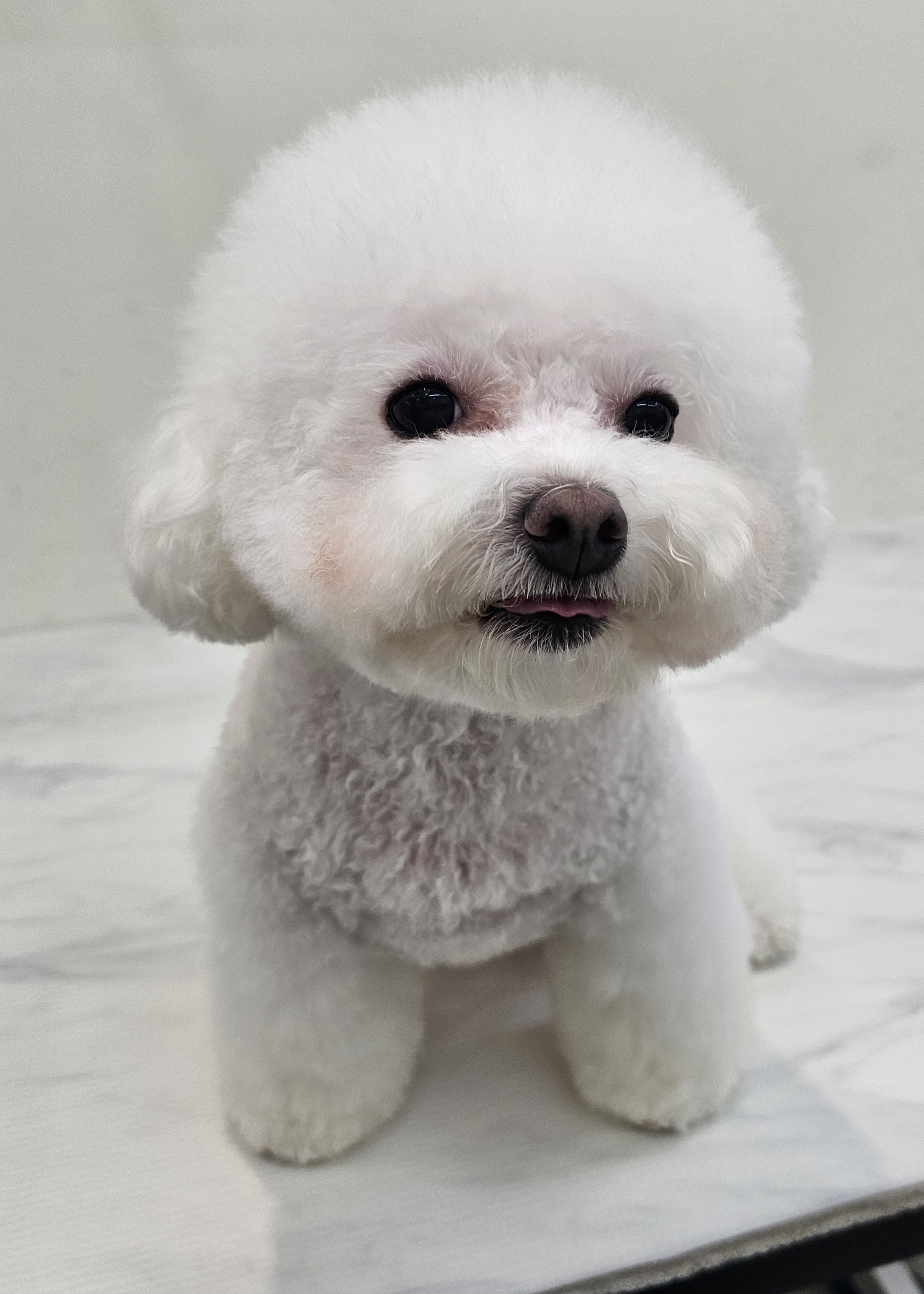 엘레멍스 대표 이미지