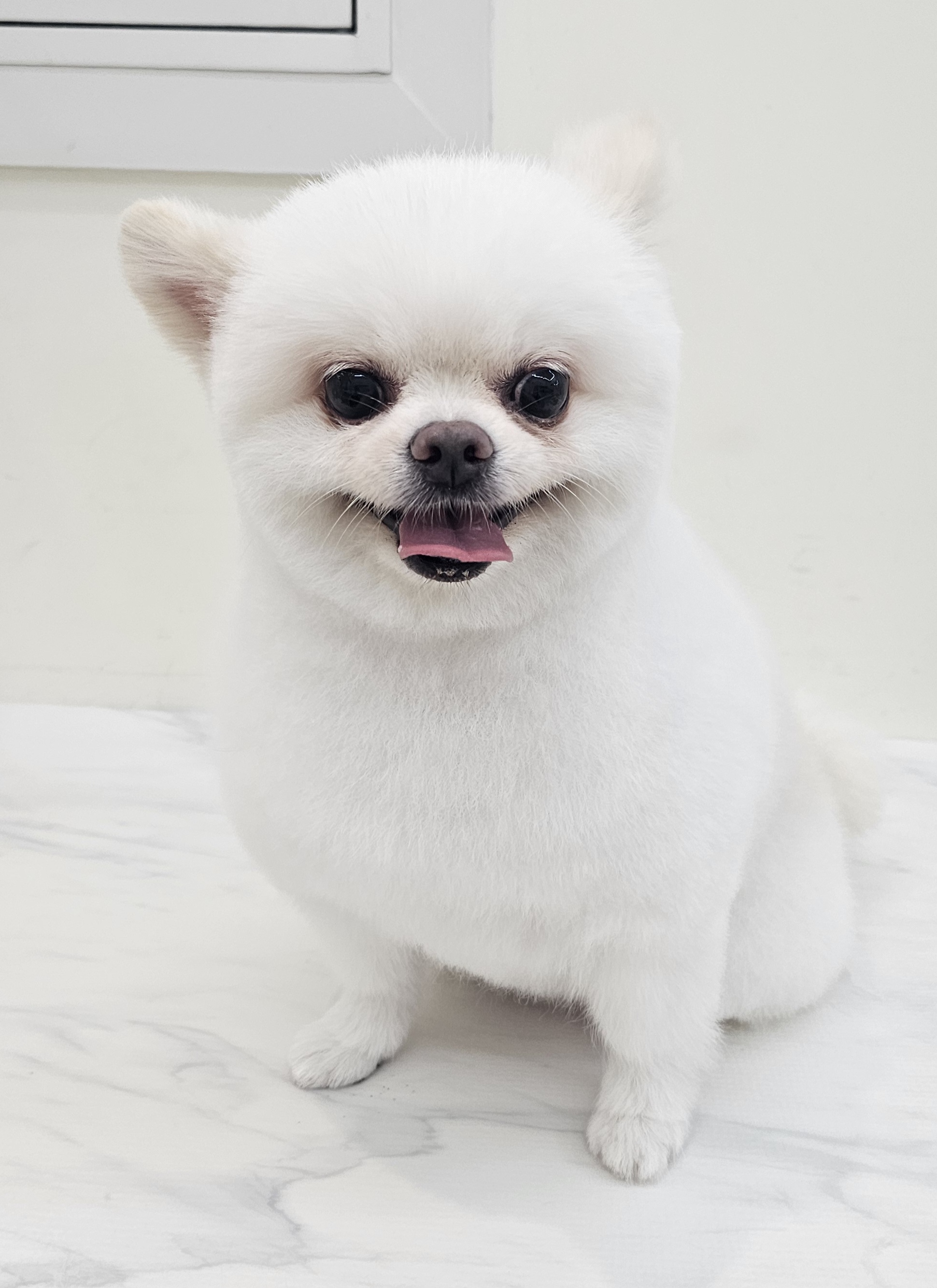 엘레멍스 대표 이미지