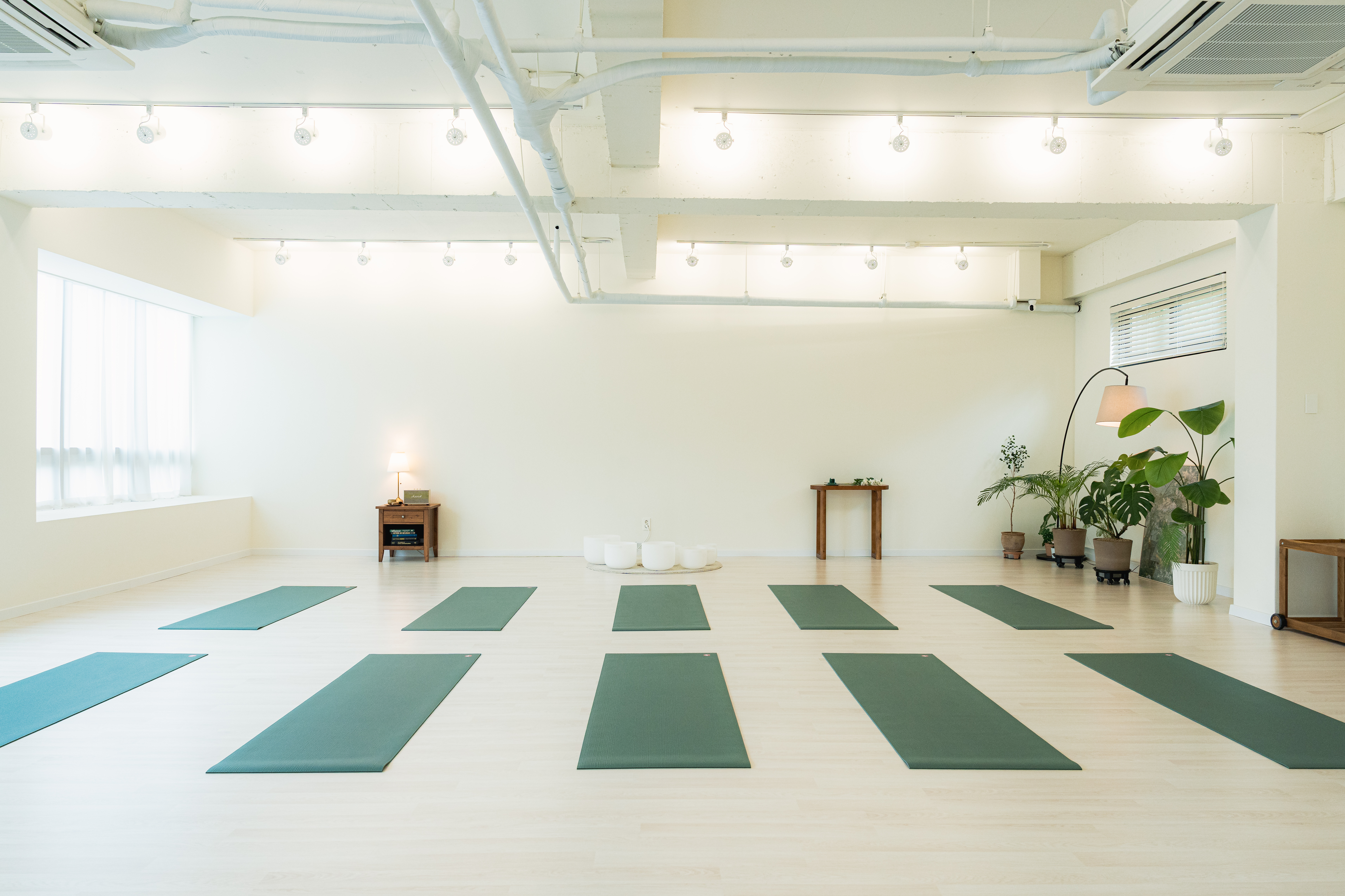 마인드플로우 대표 이미지