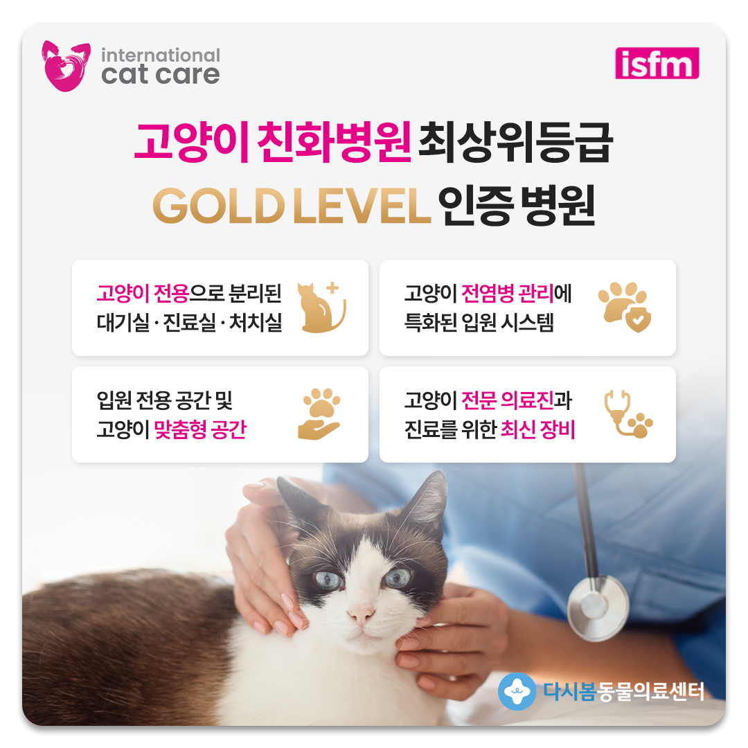 다시봄동물의료센터 대표 이미지