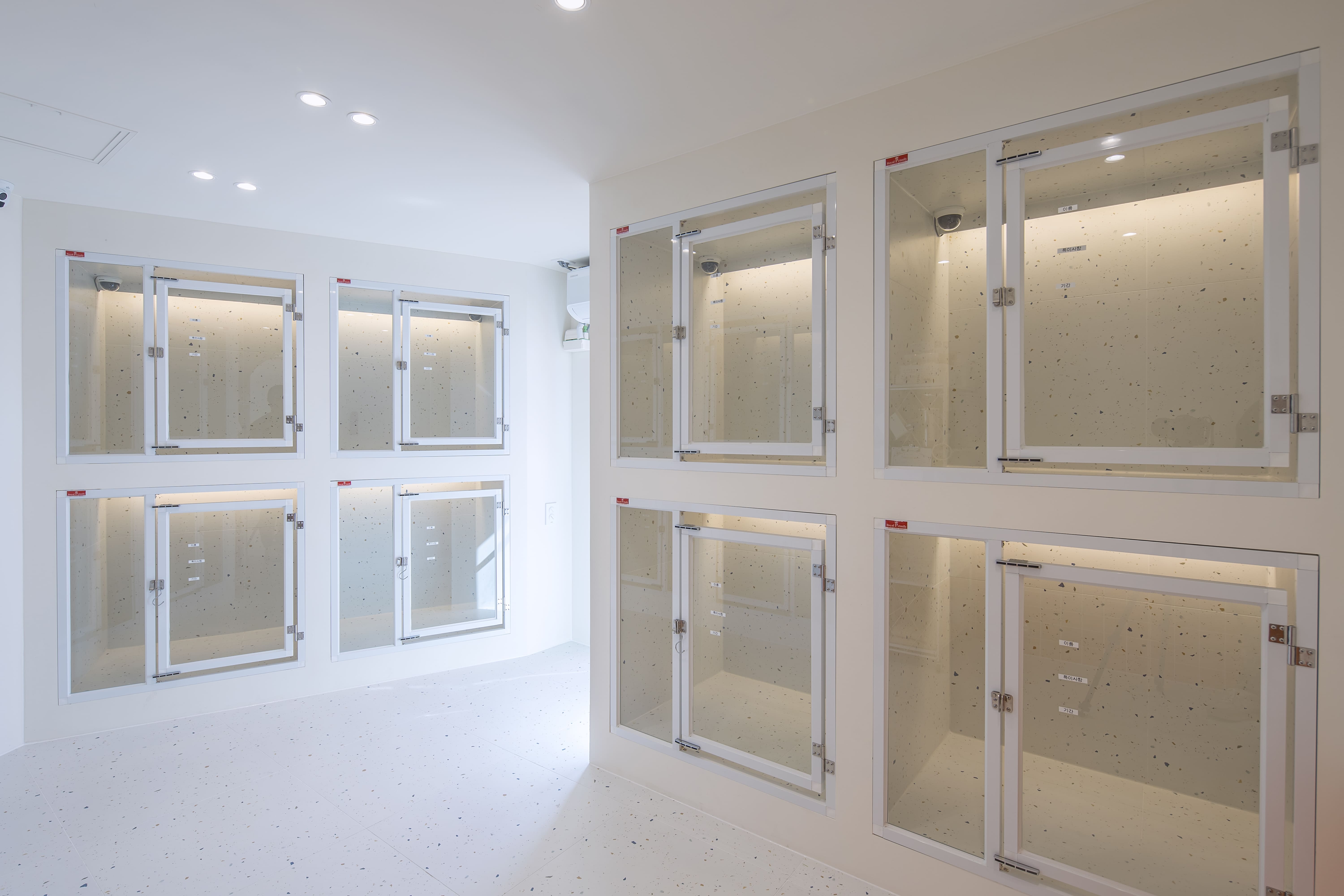 놀러오개 이미지