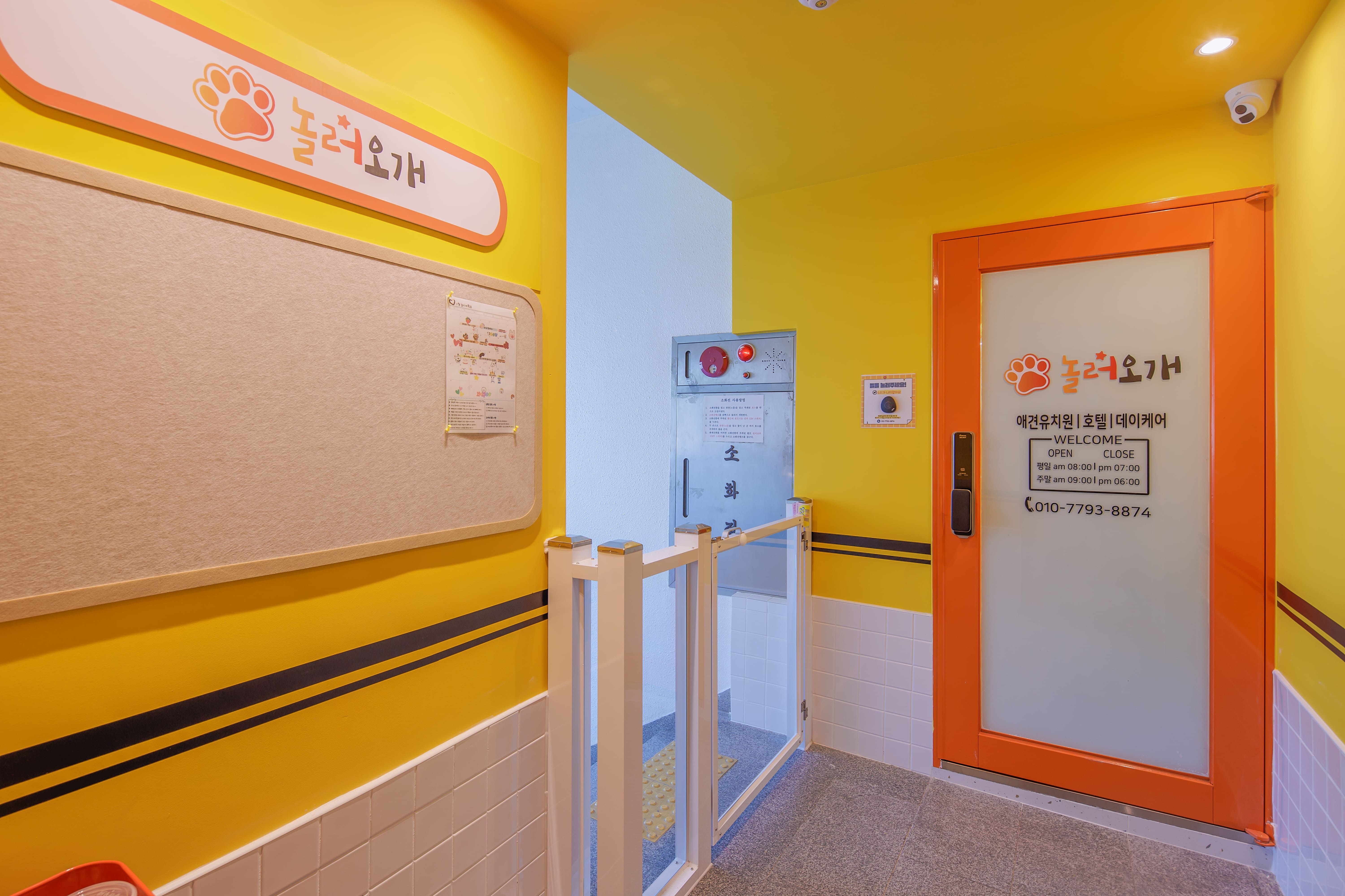 놀러오개 애견유치원 애견호텔 용산점 대표 이미지