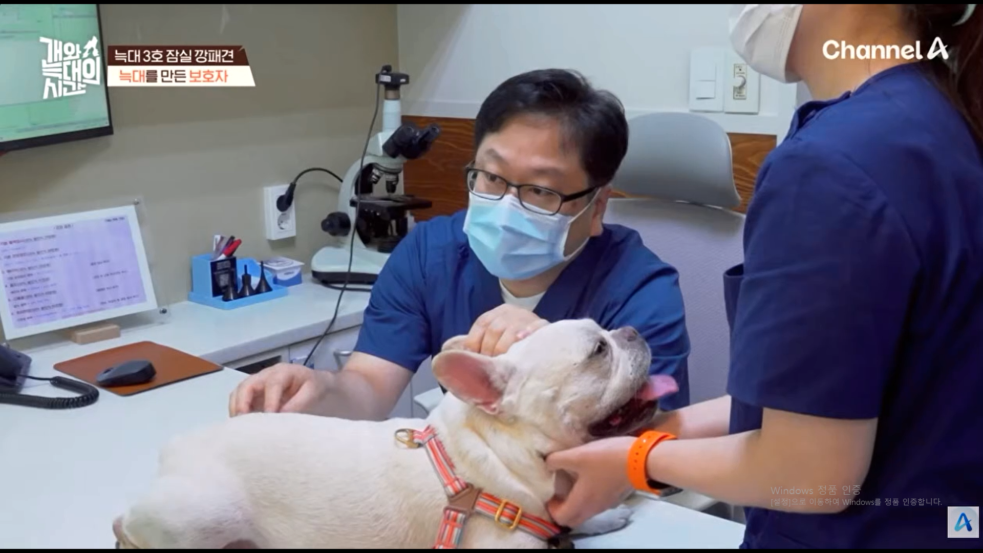 라임동물병원 송파방이점 대표 이미지