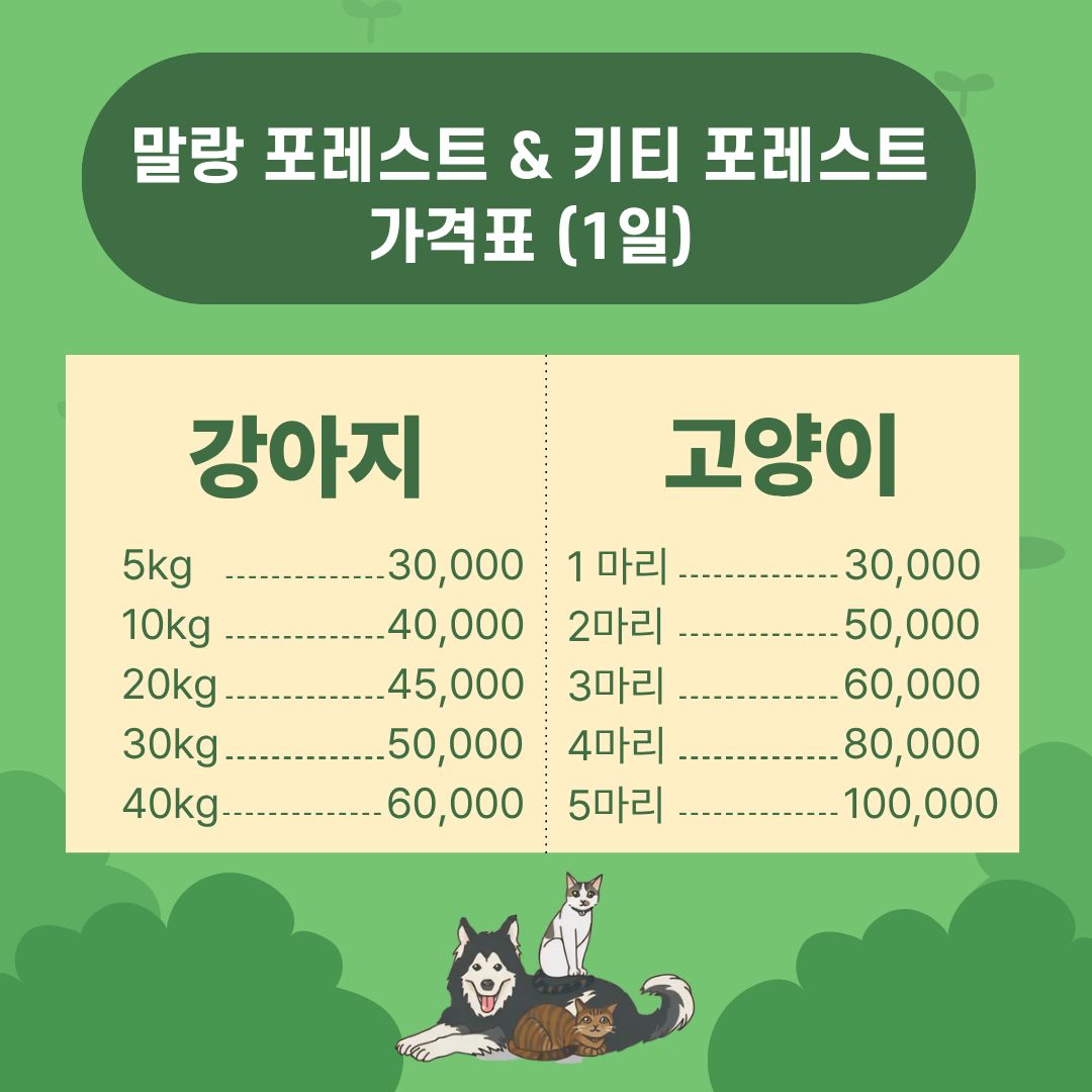 말랑포레스트&amp; 키티포레스트 3