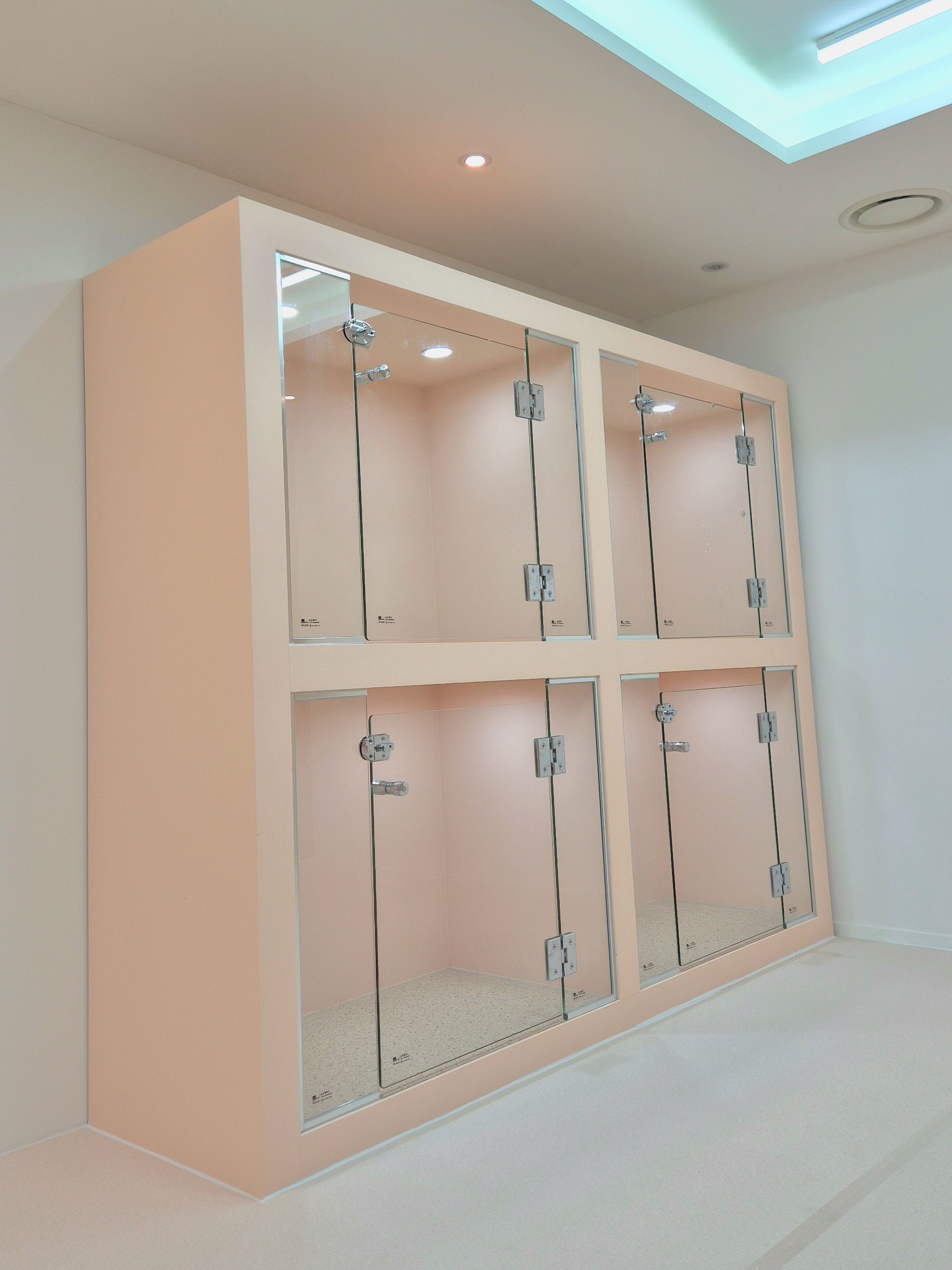 아지콩콩 대표 이미지