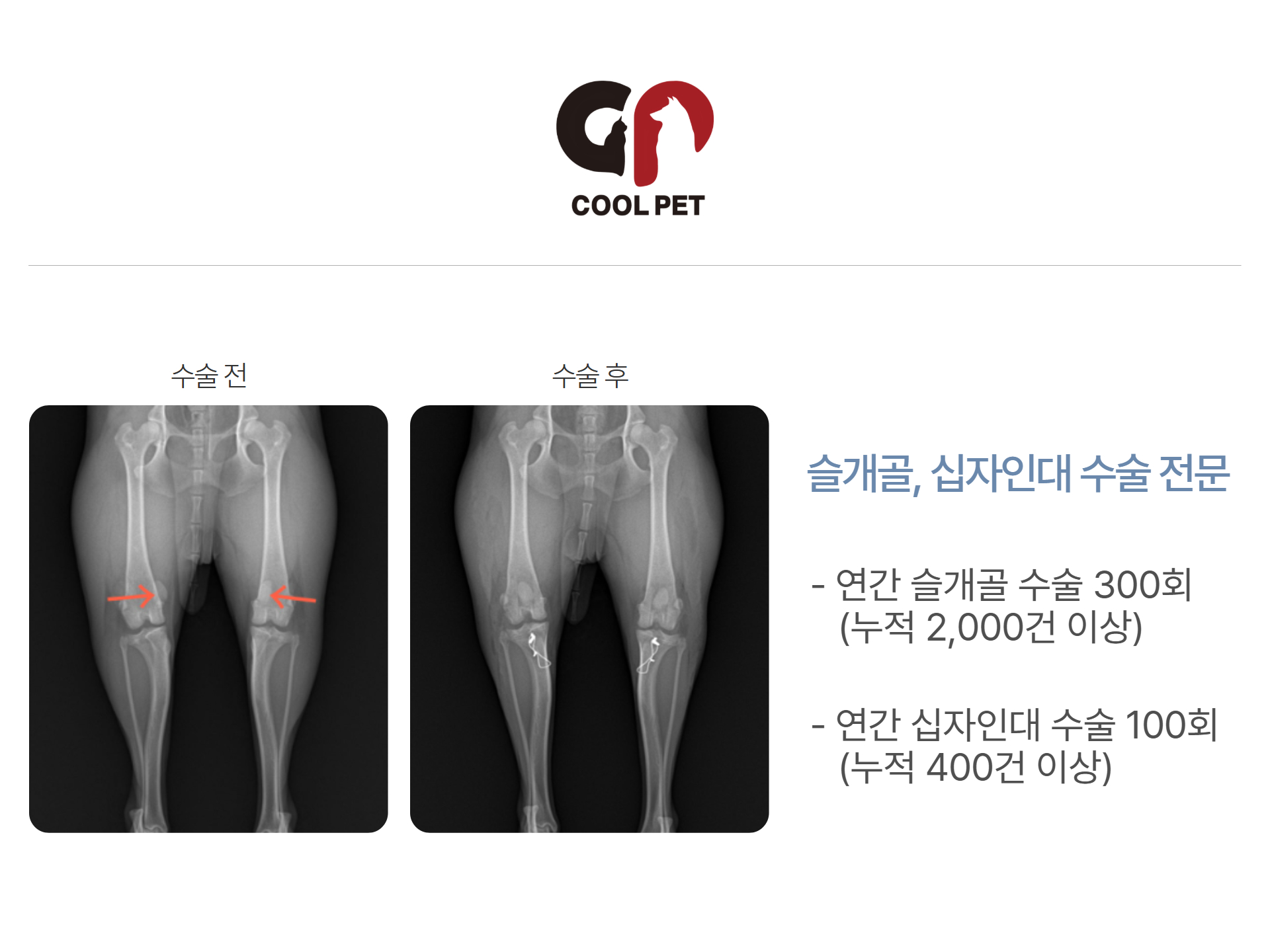 쿨펫 대표 이미지