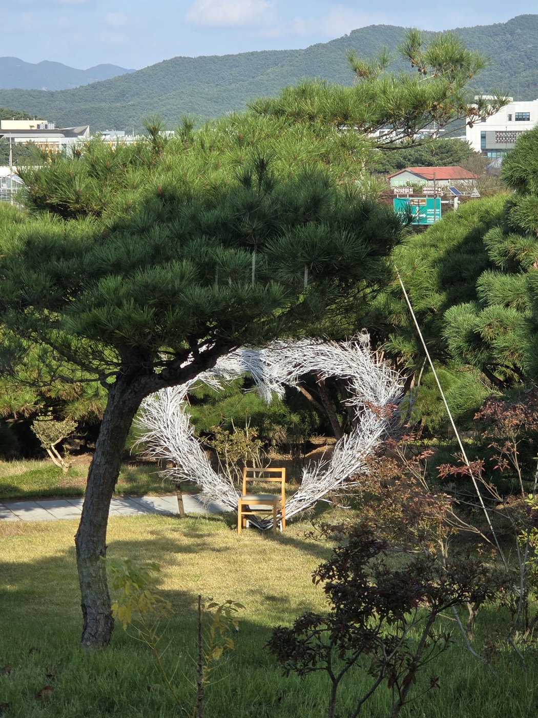 날빛 반려동물 동반 애견카페