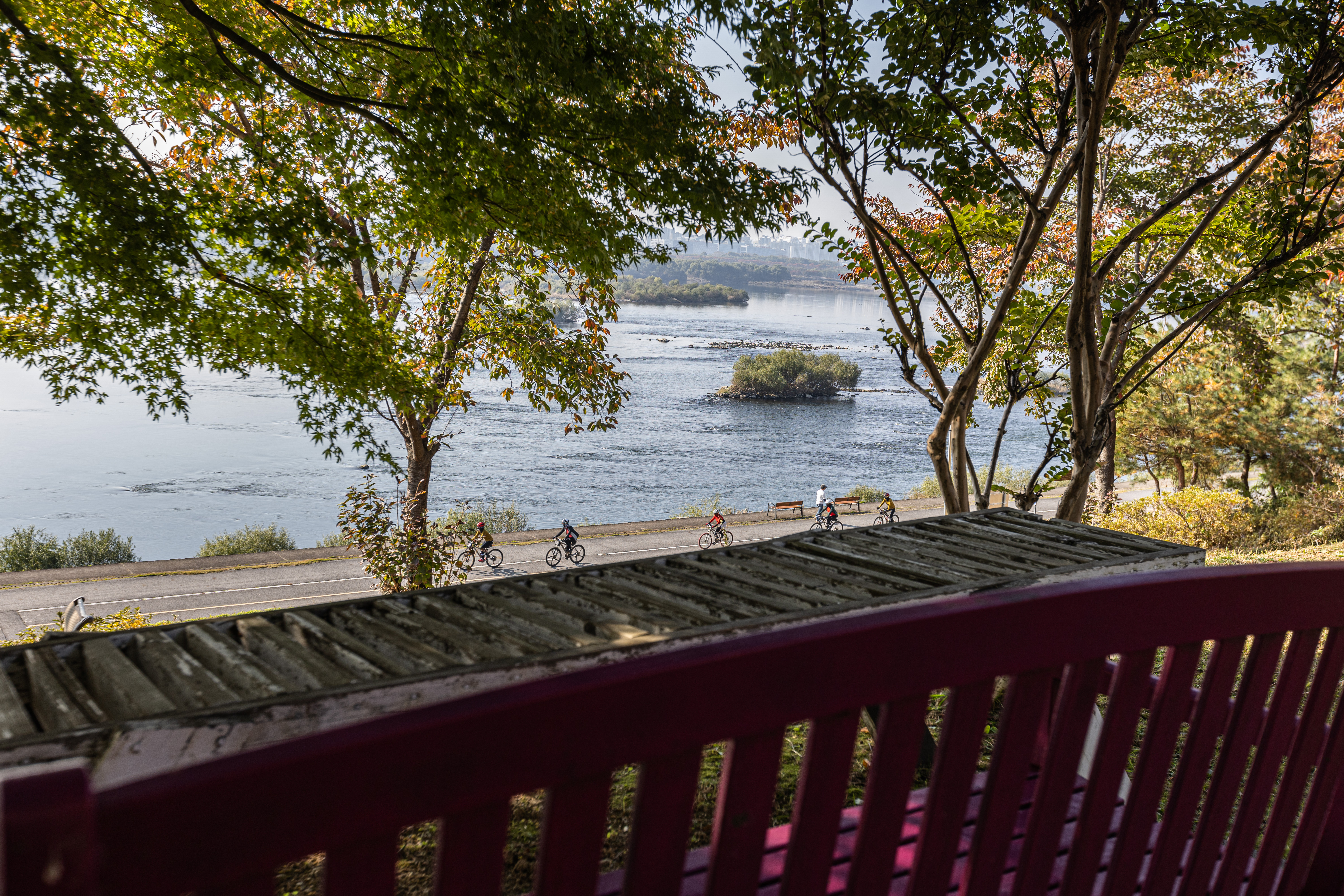 파크카페 사진 2