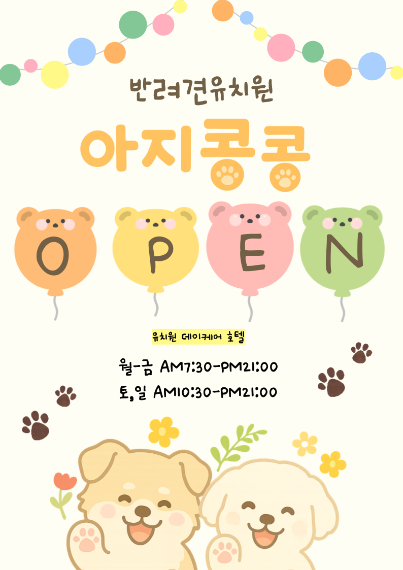 아지콩콩 대표 이미지