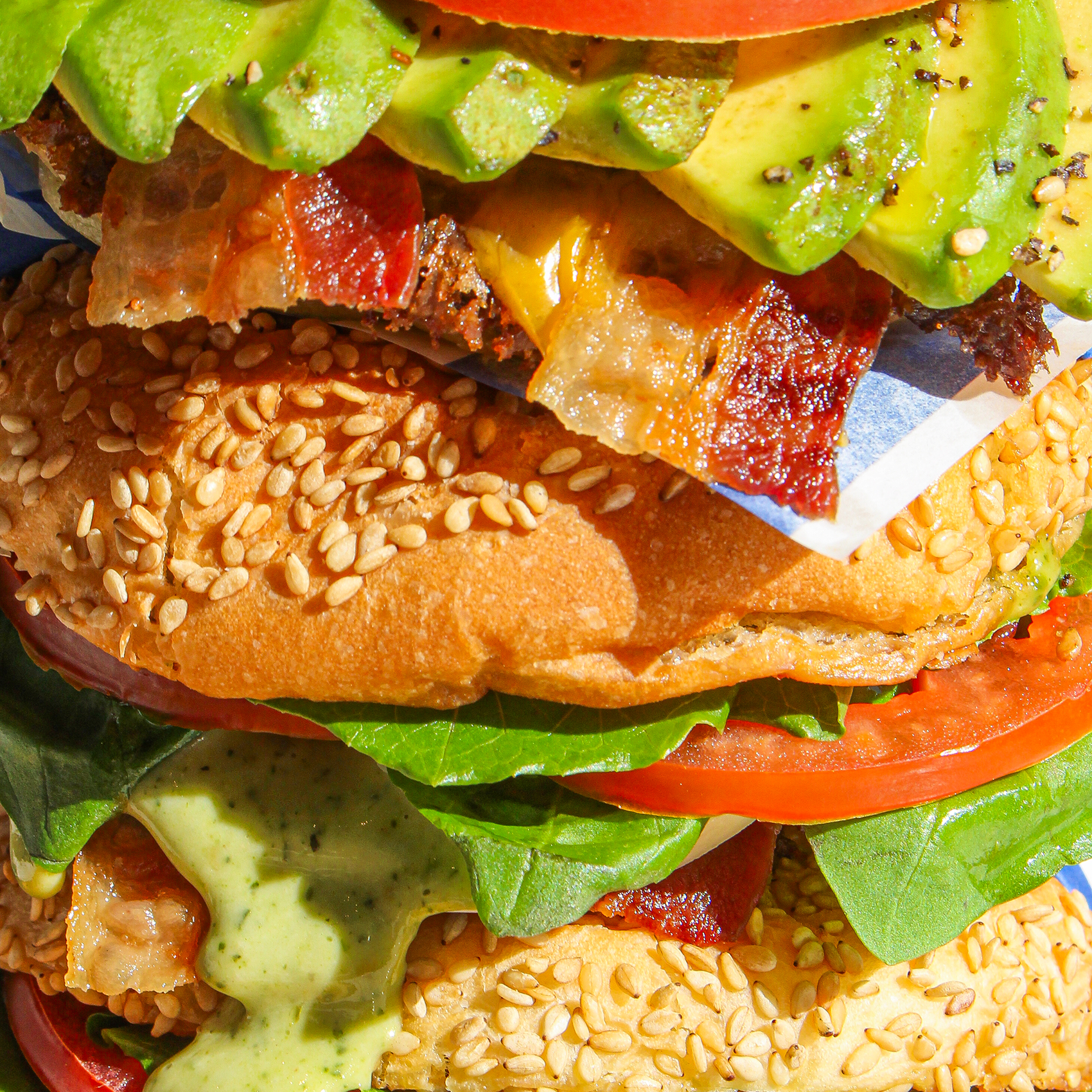 다운타우너 잠실 photo 9