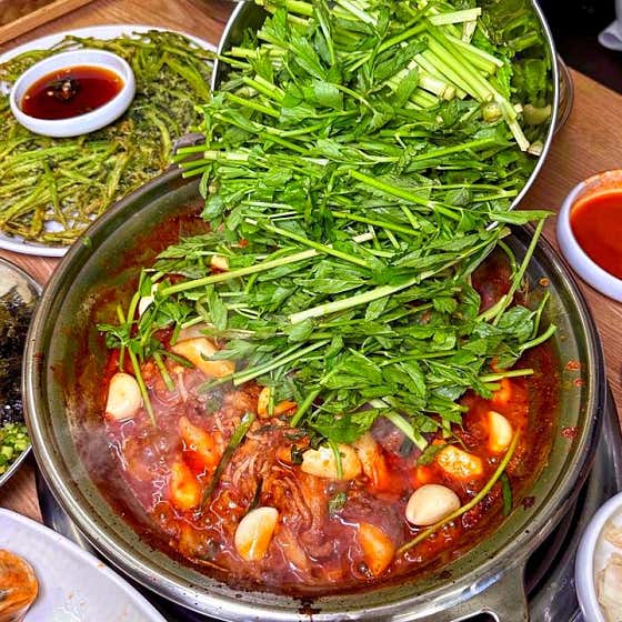 청록미나리식당 과천점 photo 8