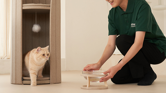 하울팟 시터 이미지