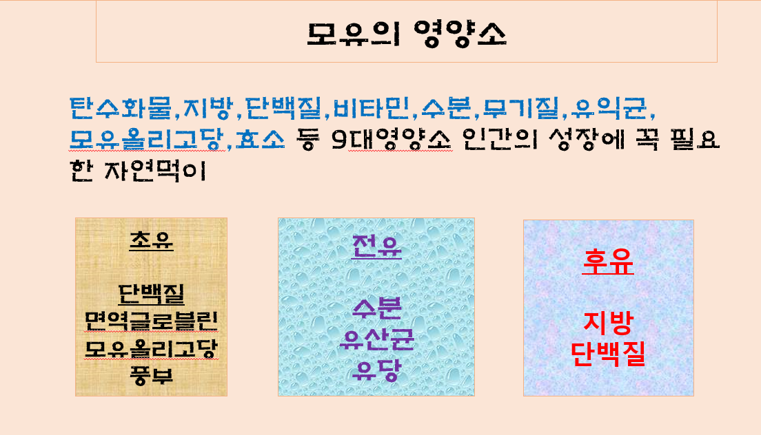 베스트맘 photo 2
