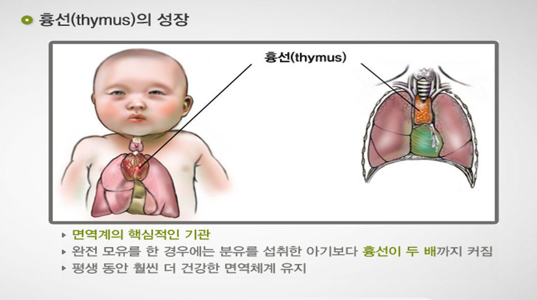 베스트맘 photo 4