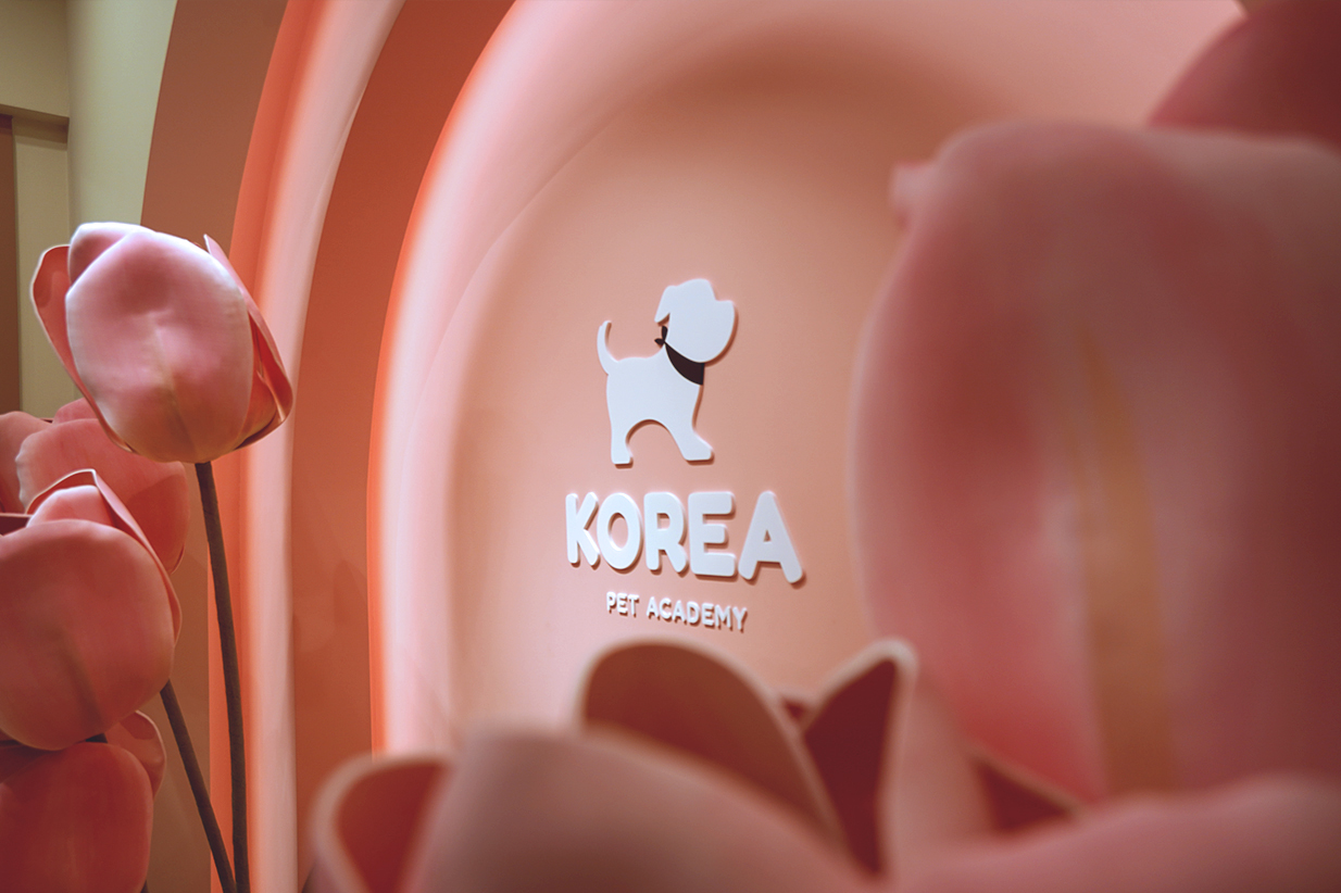 코리아펫아카데미 대표 이미지