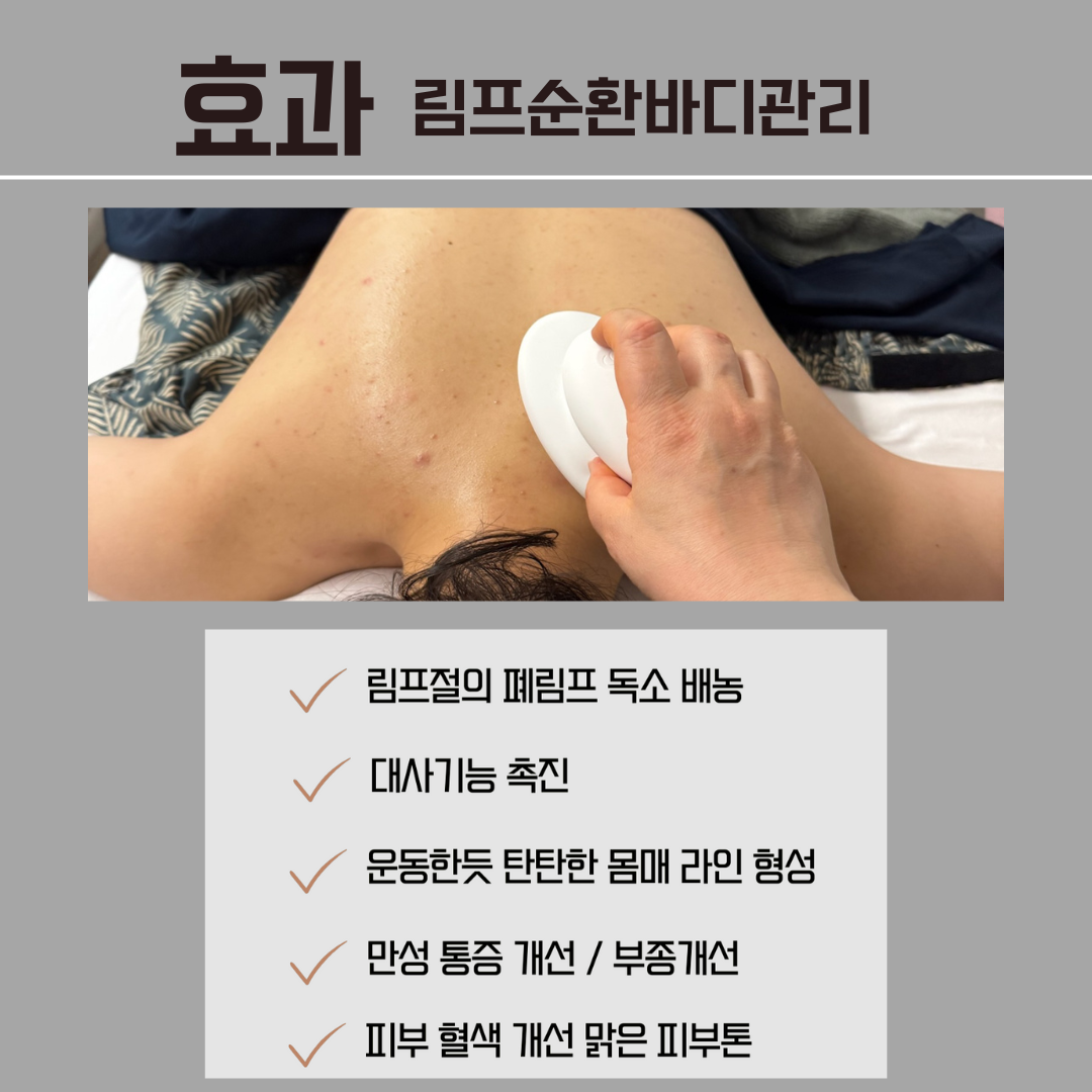 루미에르엔숲칼프 대표 이미지