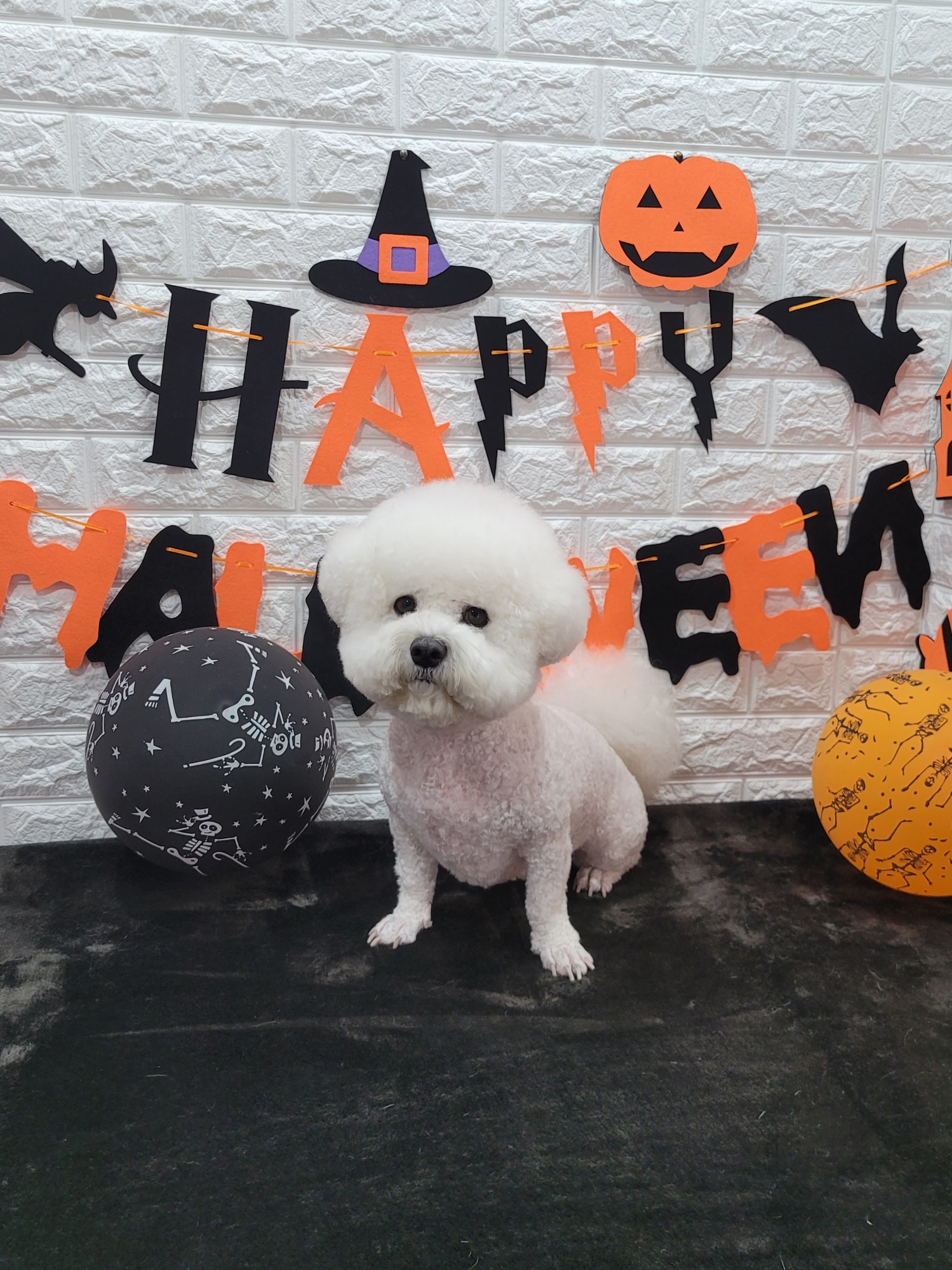 블링멍 대표 이미지