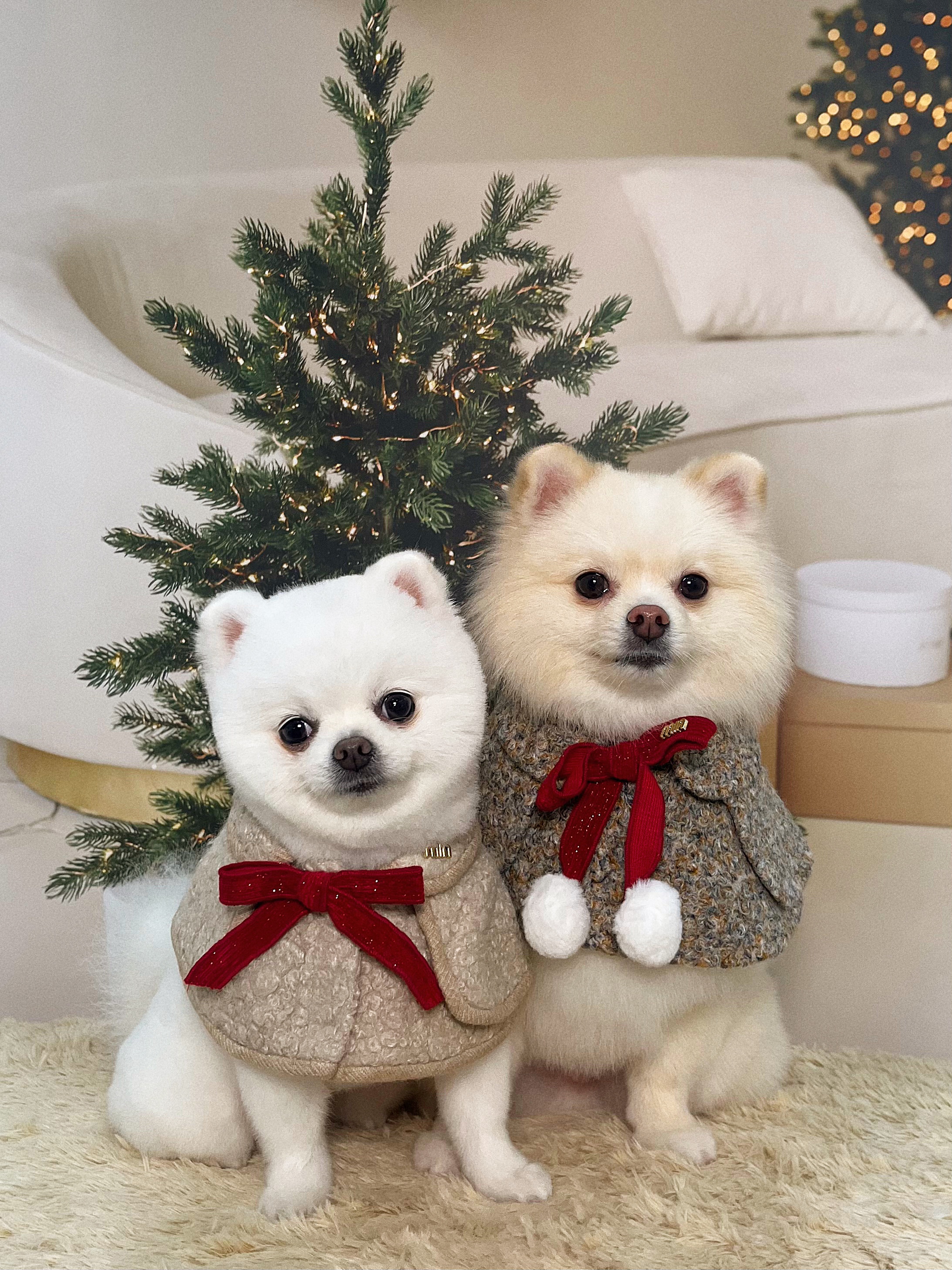 플러피퍼피 대표 이미지