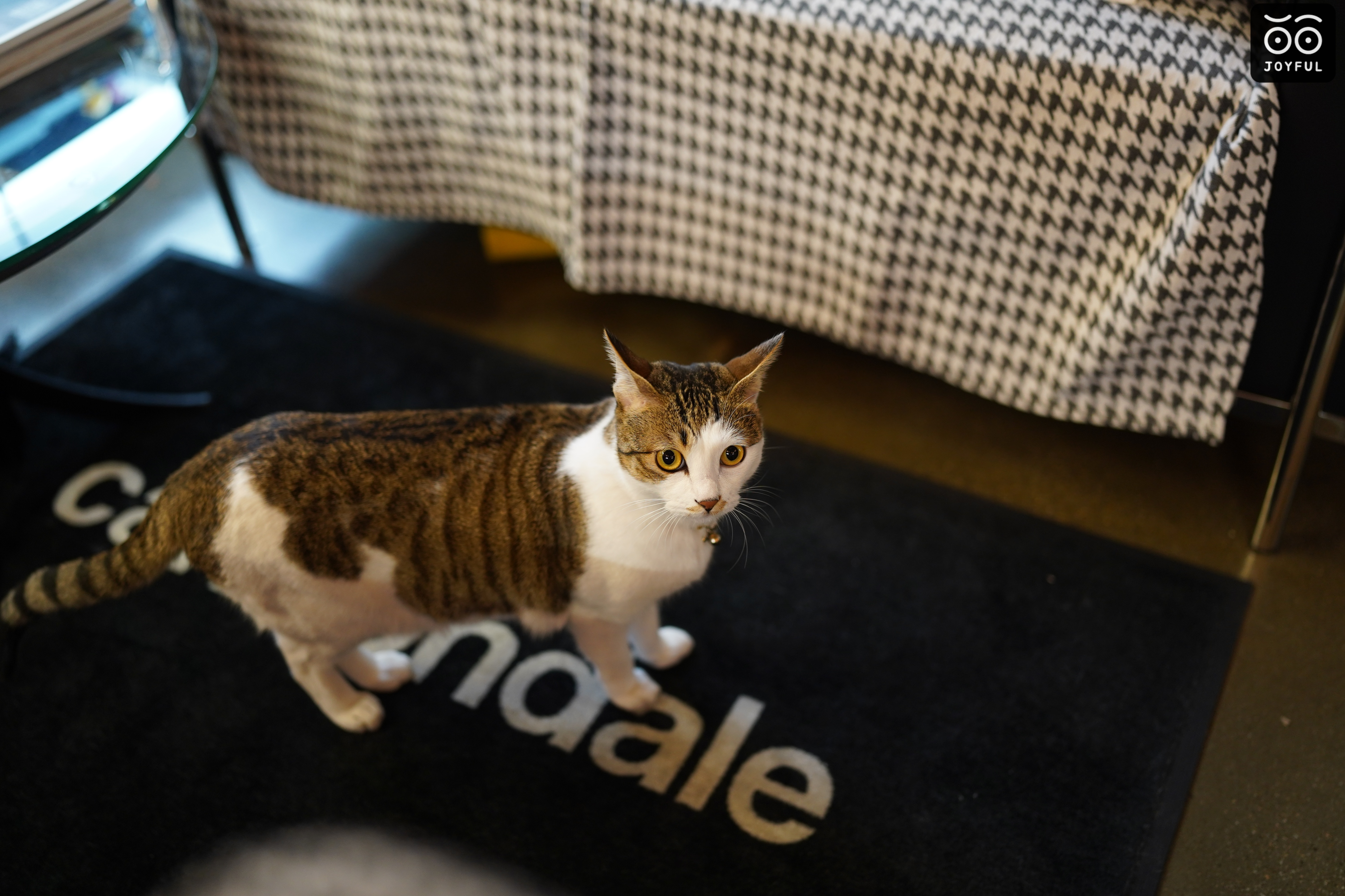 조이풀 로드바이크 샵 대표 이미지