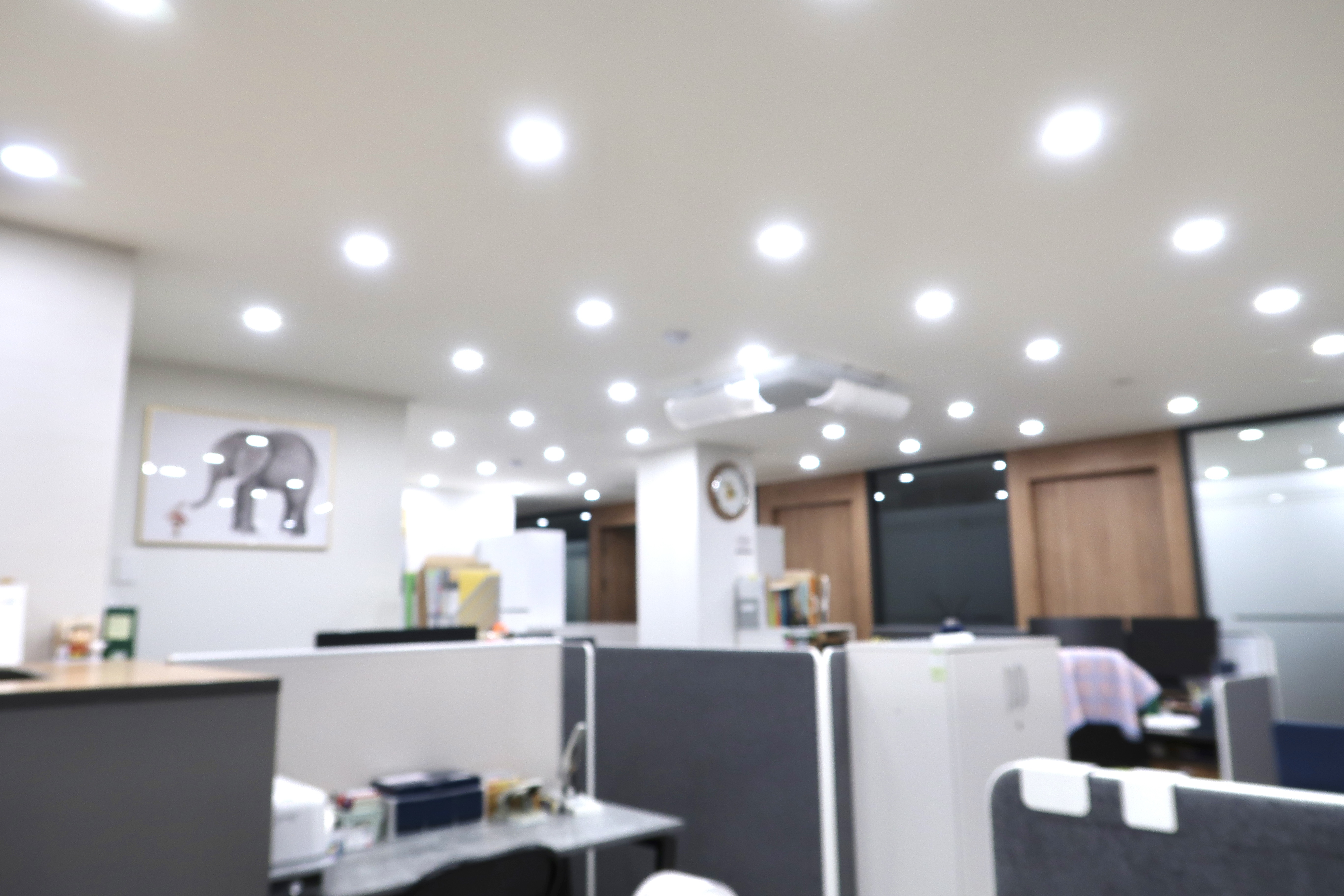 세무법인현답 대표 이미지