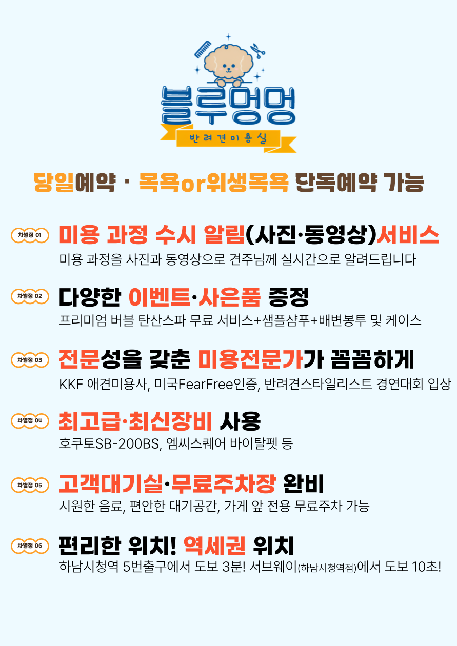 블루멍 반려동물 동반 카페