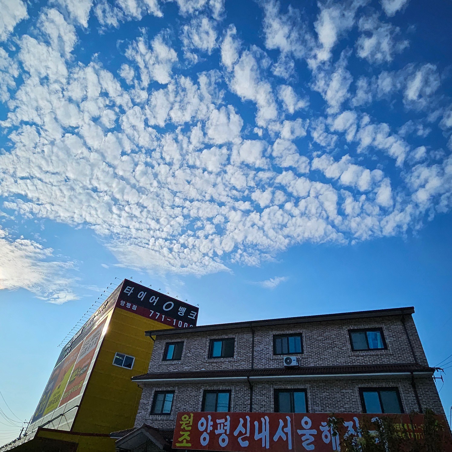 양평신내서울해장국 본점