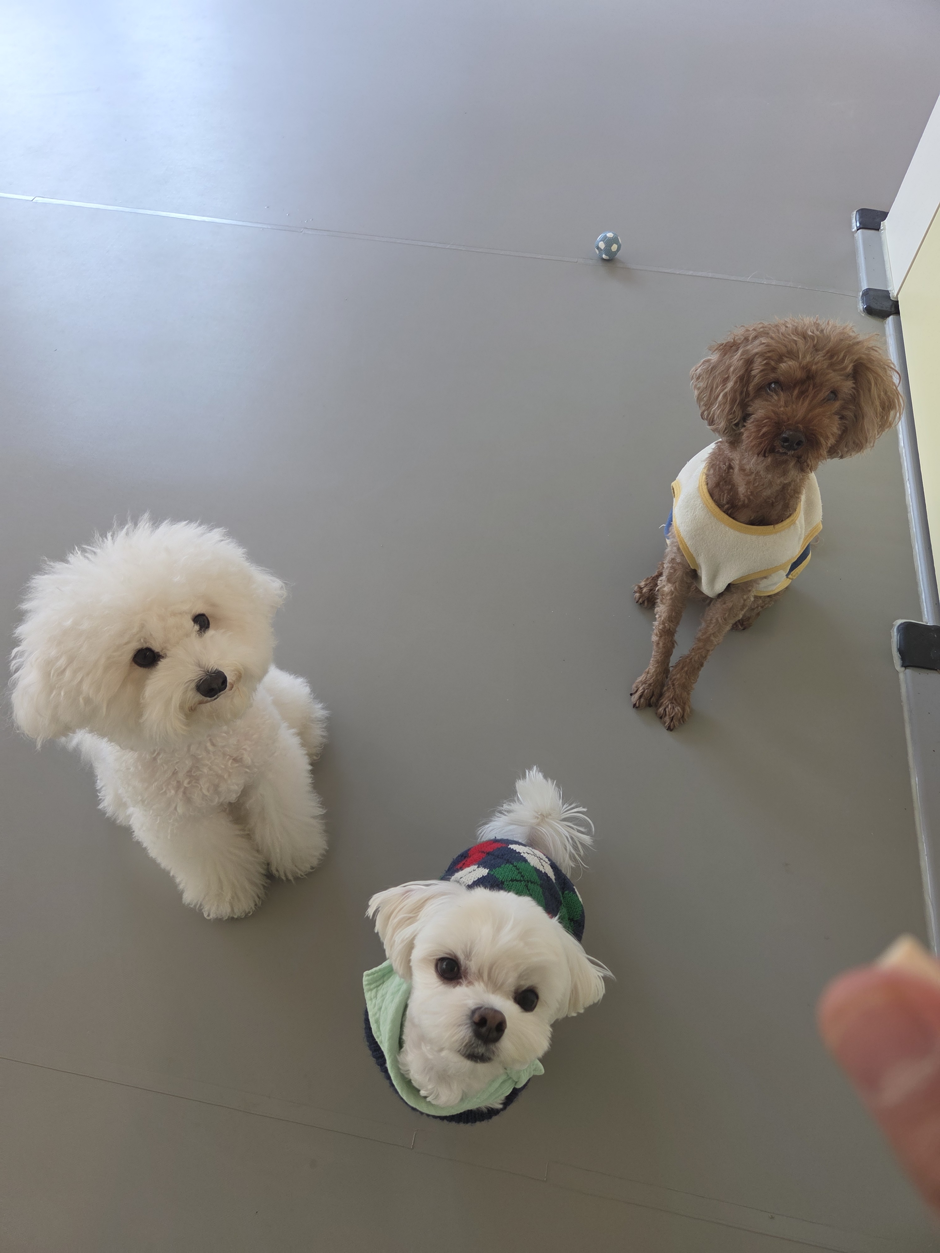 도담도담 대표 이미지