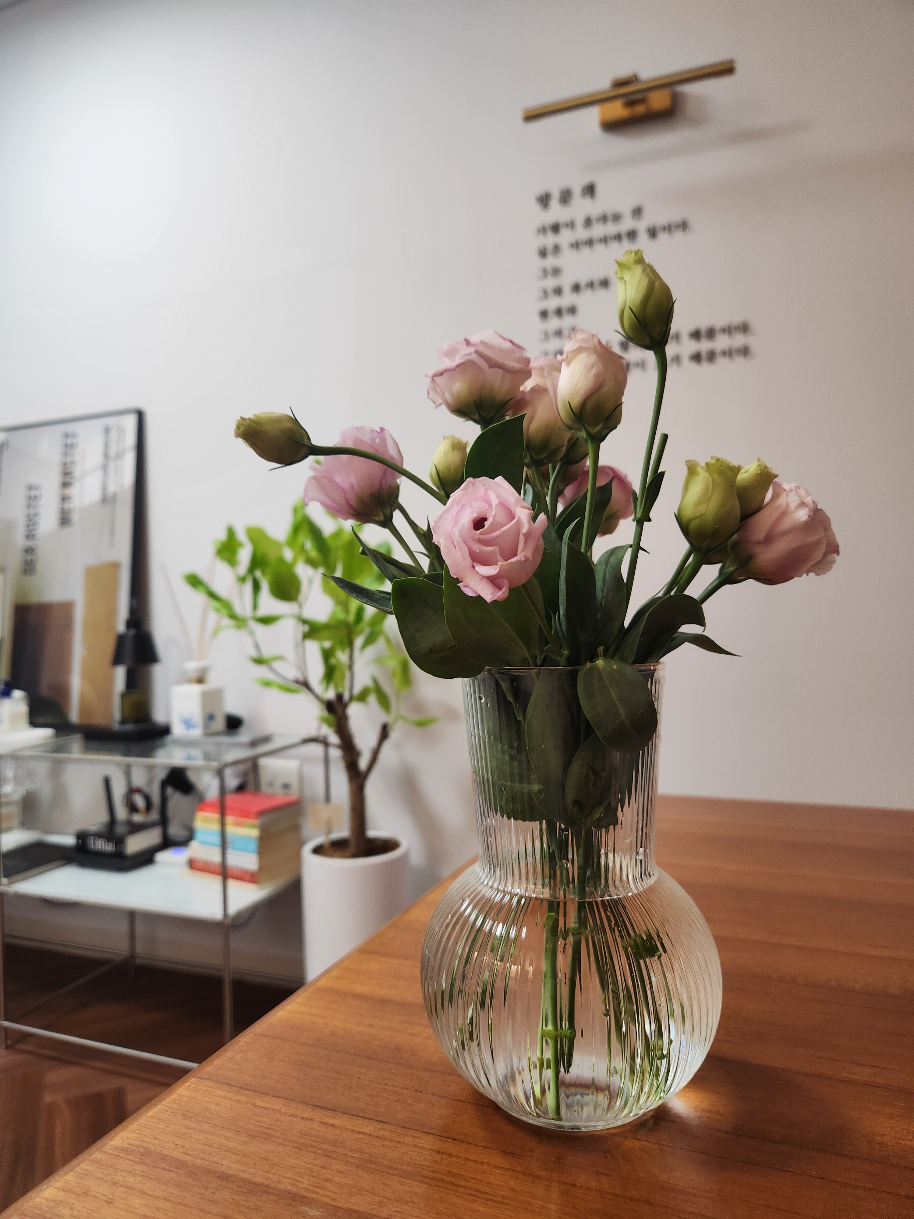 연세그레이스 대표 이미지