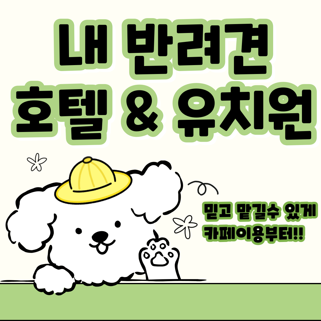 서촌동댕번지 대표 이미지