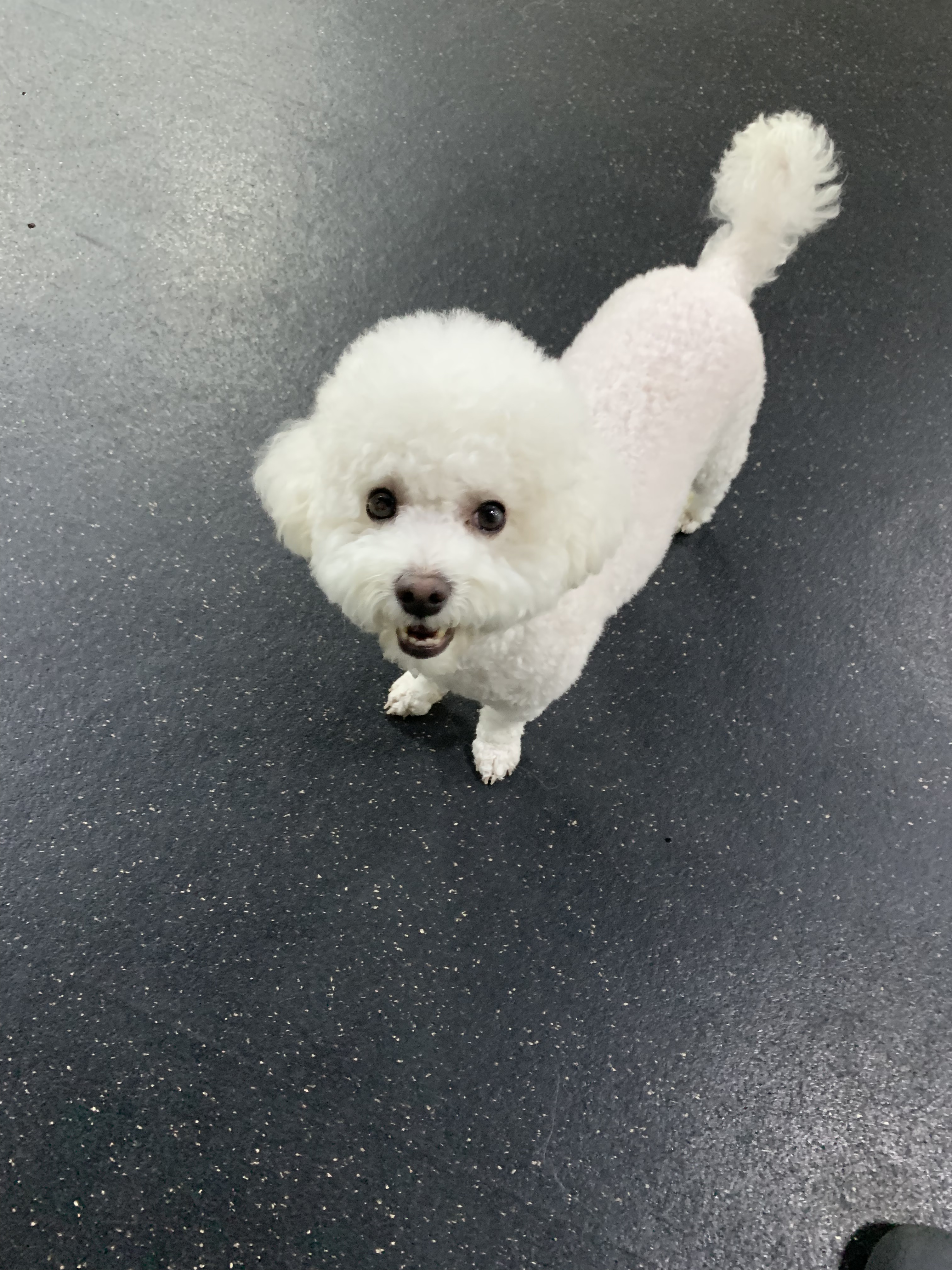 멍스가든 대표 이미지