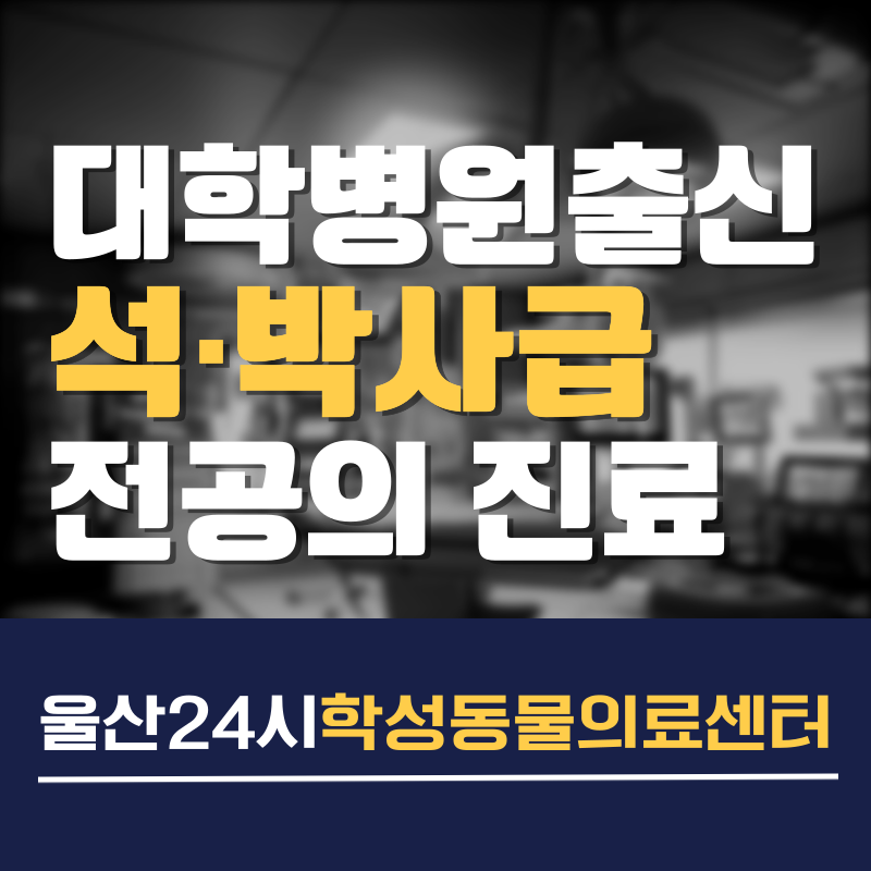 울산24시 학성동물의료센터 내부