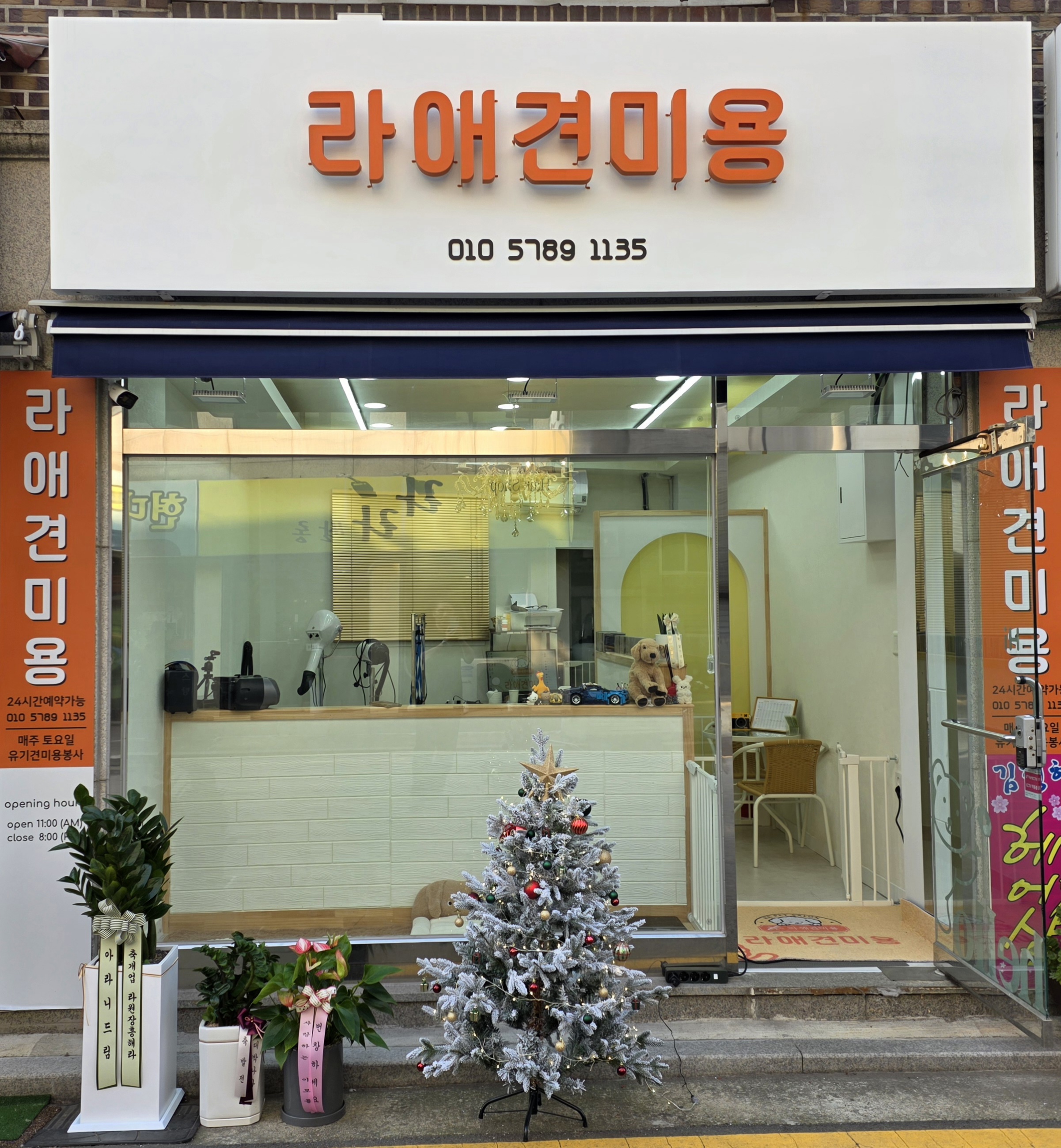 라애견미용