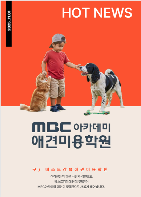 베스트강북애견미용학원 대표 이미지