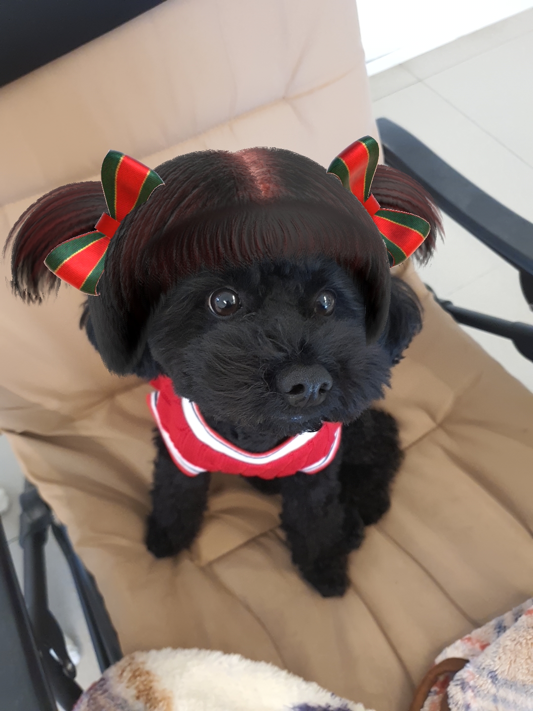 플라이투더뭉 대표 이미지