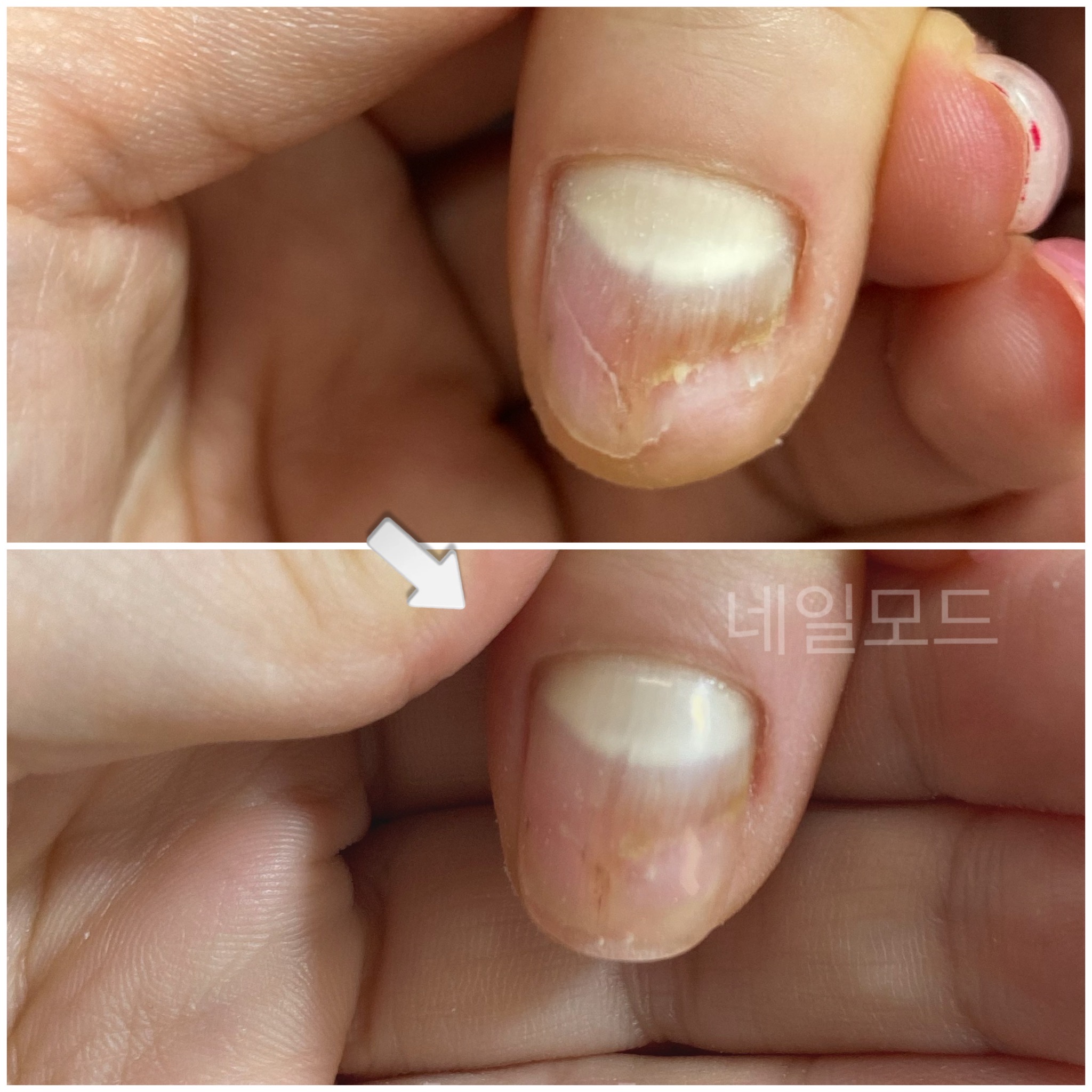 네일모드 대표 이미지