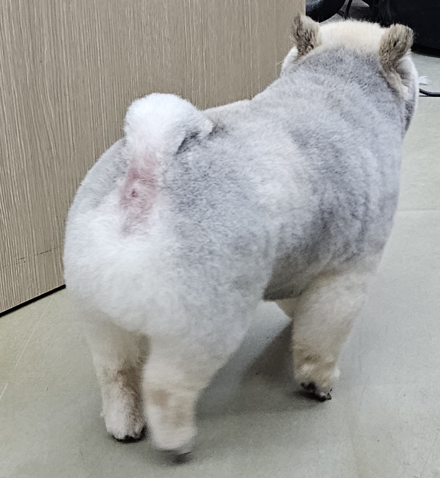 다독다독 대표 이미지