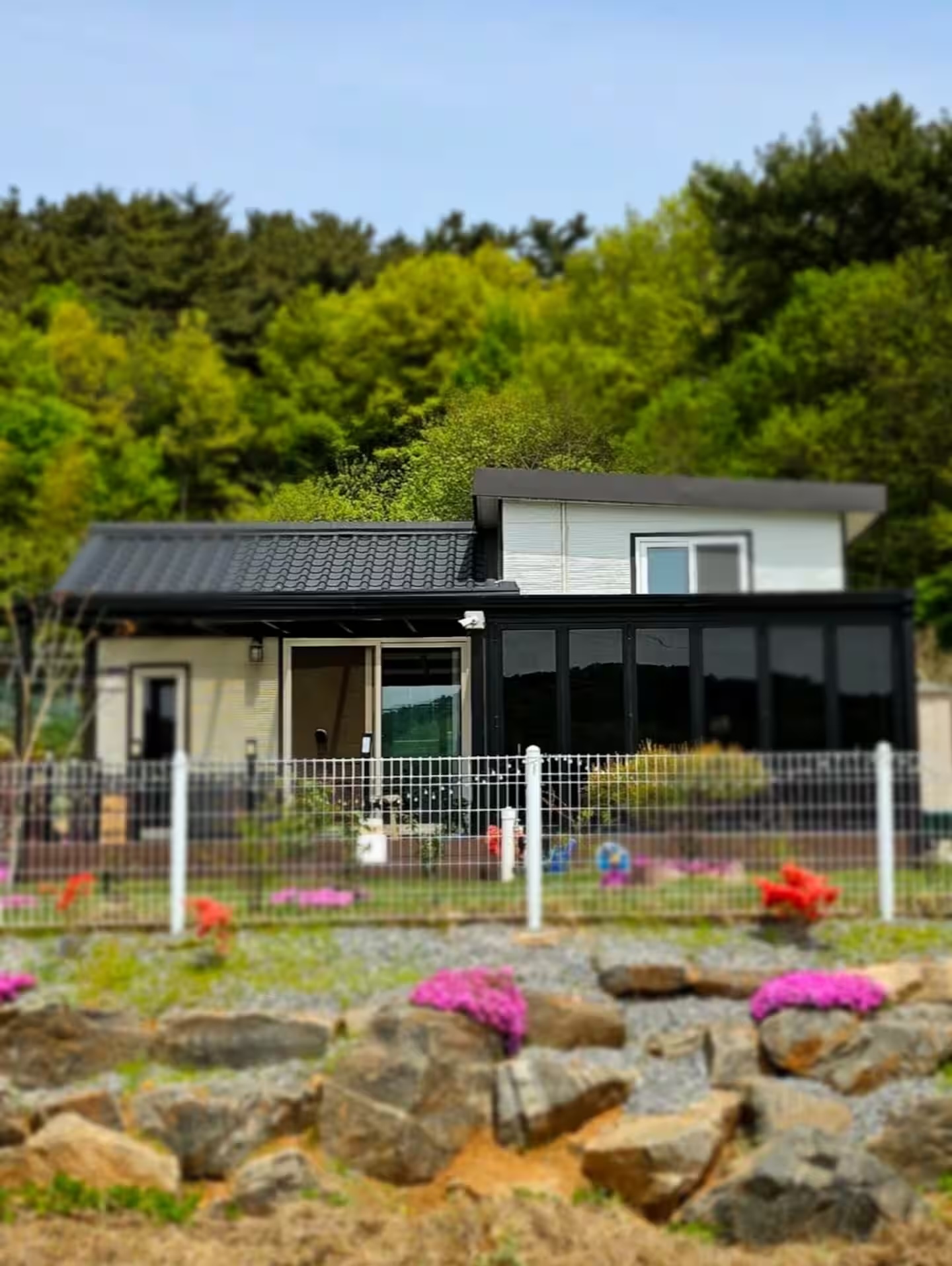 사진 3