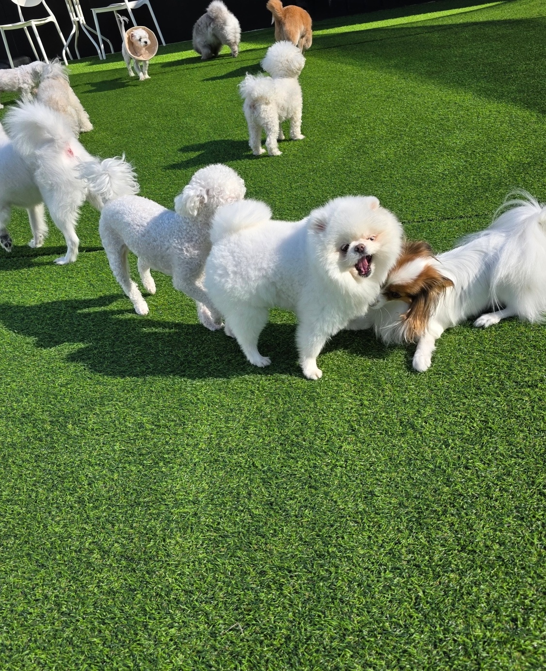 견학당 대표 이미지