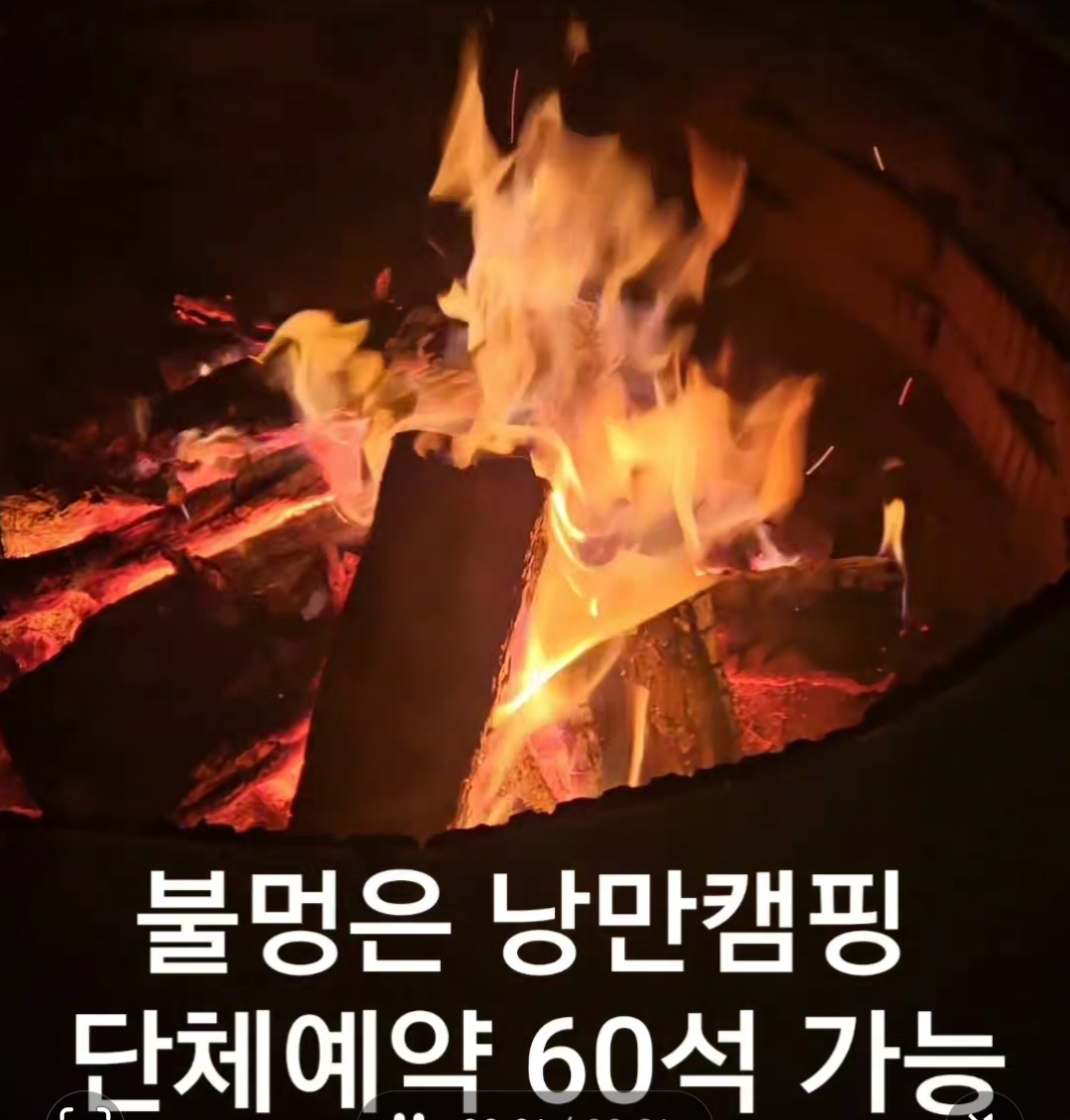 낭만캠핑 반려동물 동반 애견카페