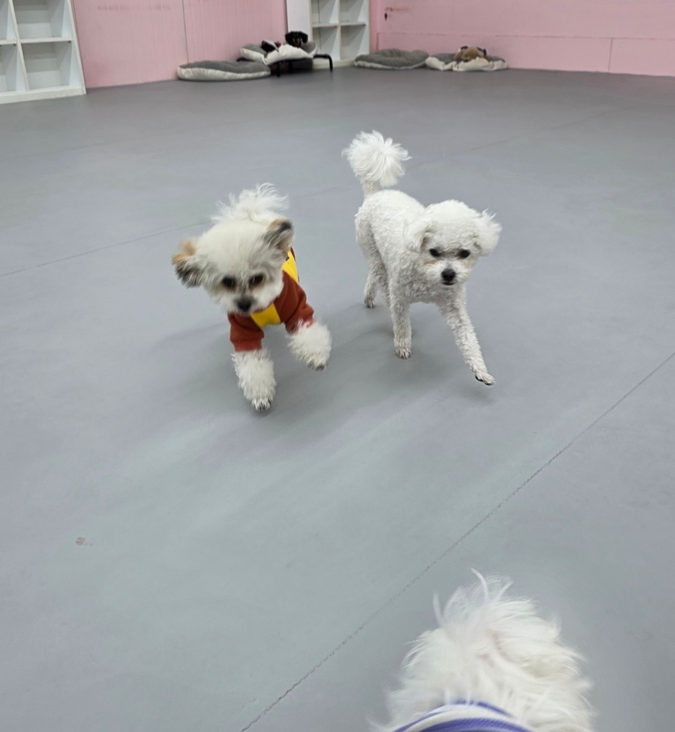 견학당 대표 이미지