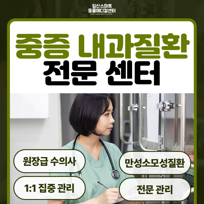 스마트동물병원 대표 이미지