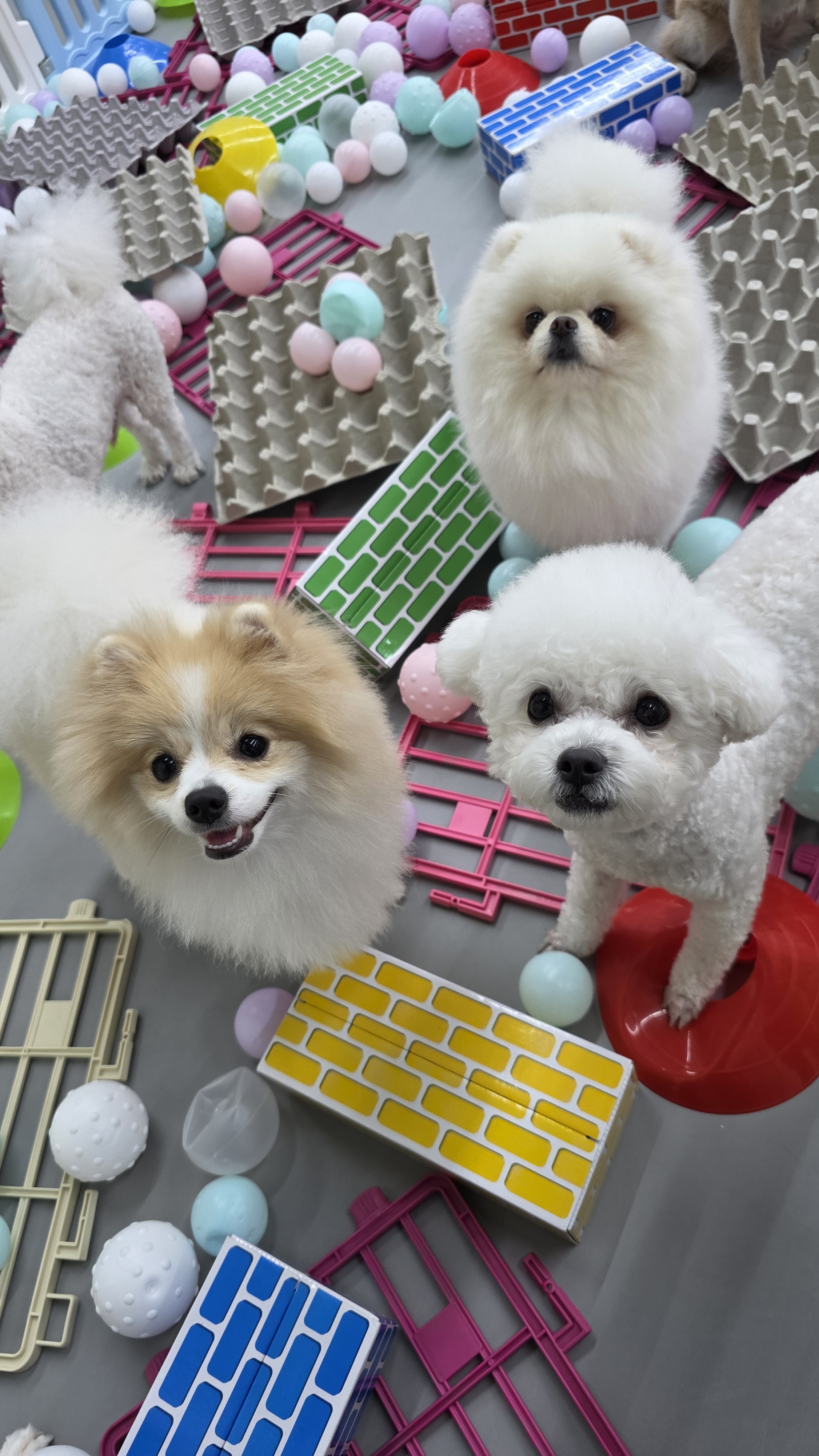 견학당 대표 이미지