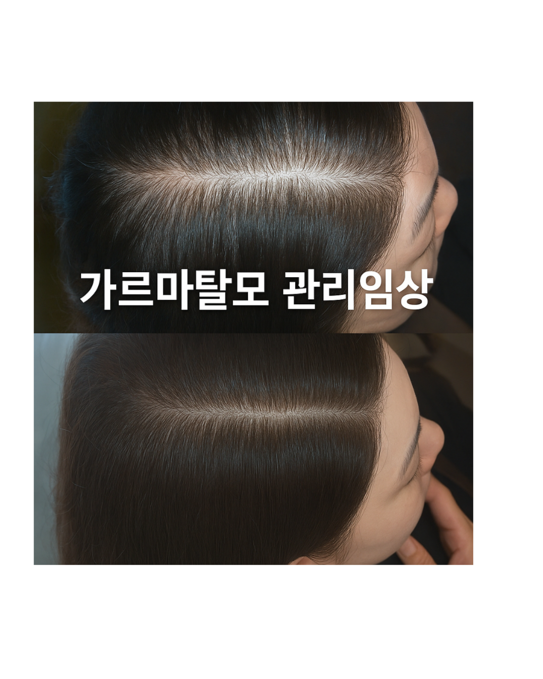 닥터모락 종로점 대표 이미지