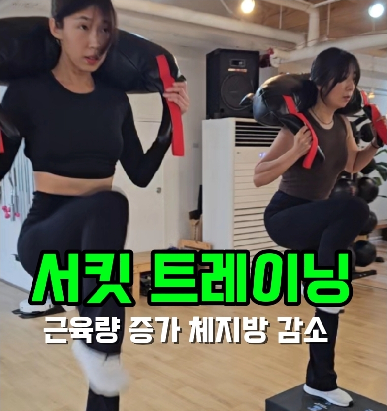 경기도 파주시 문산읍 복싱체육관 머스트윈 복싱 내부 모습 5