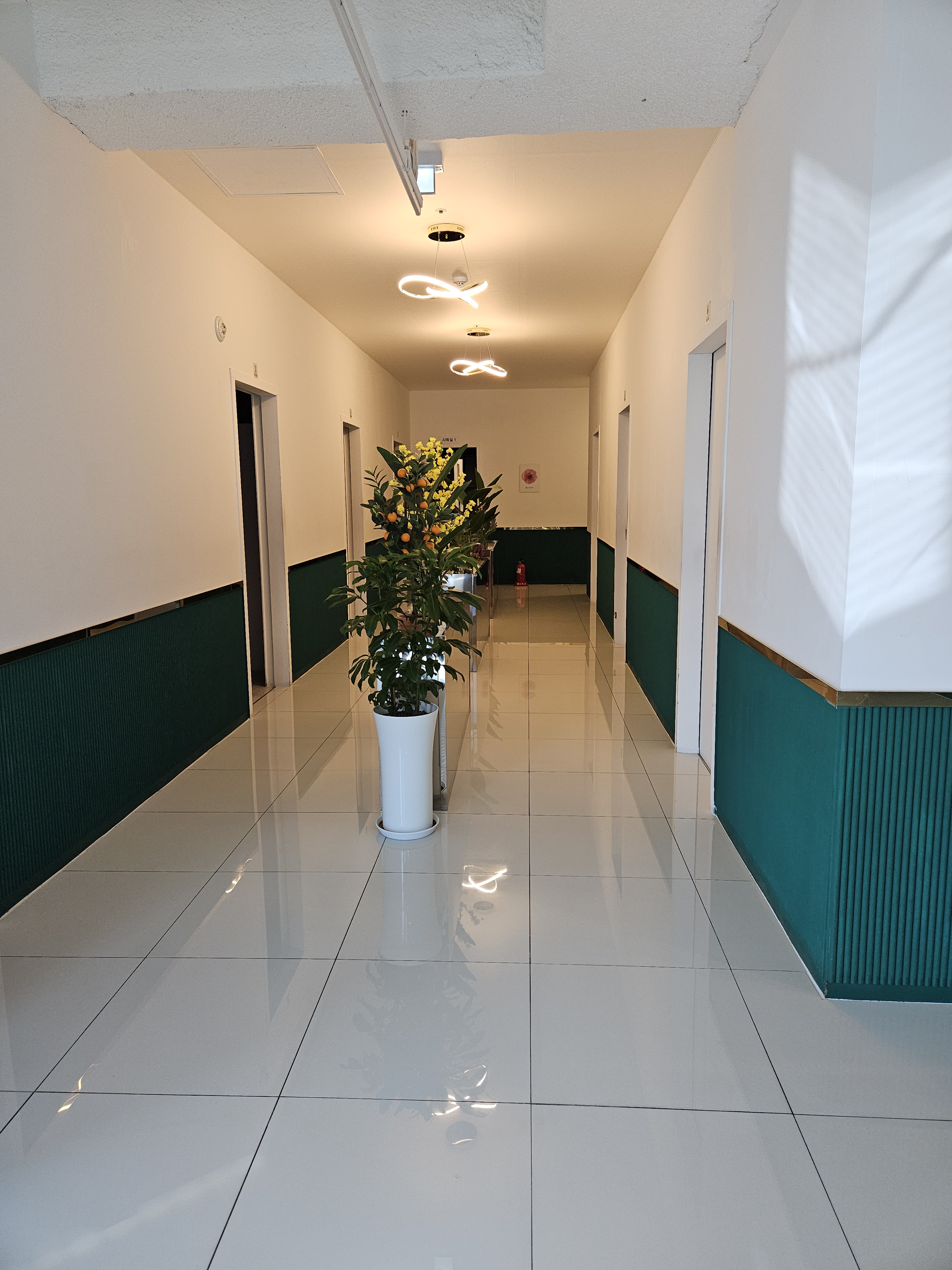 하가타이 photo 8