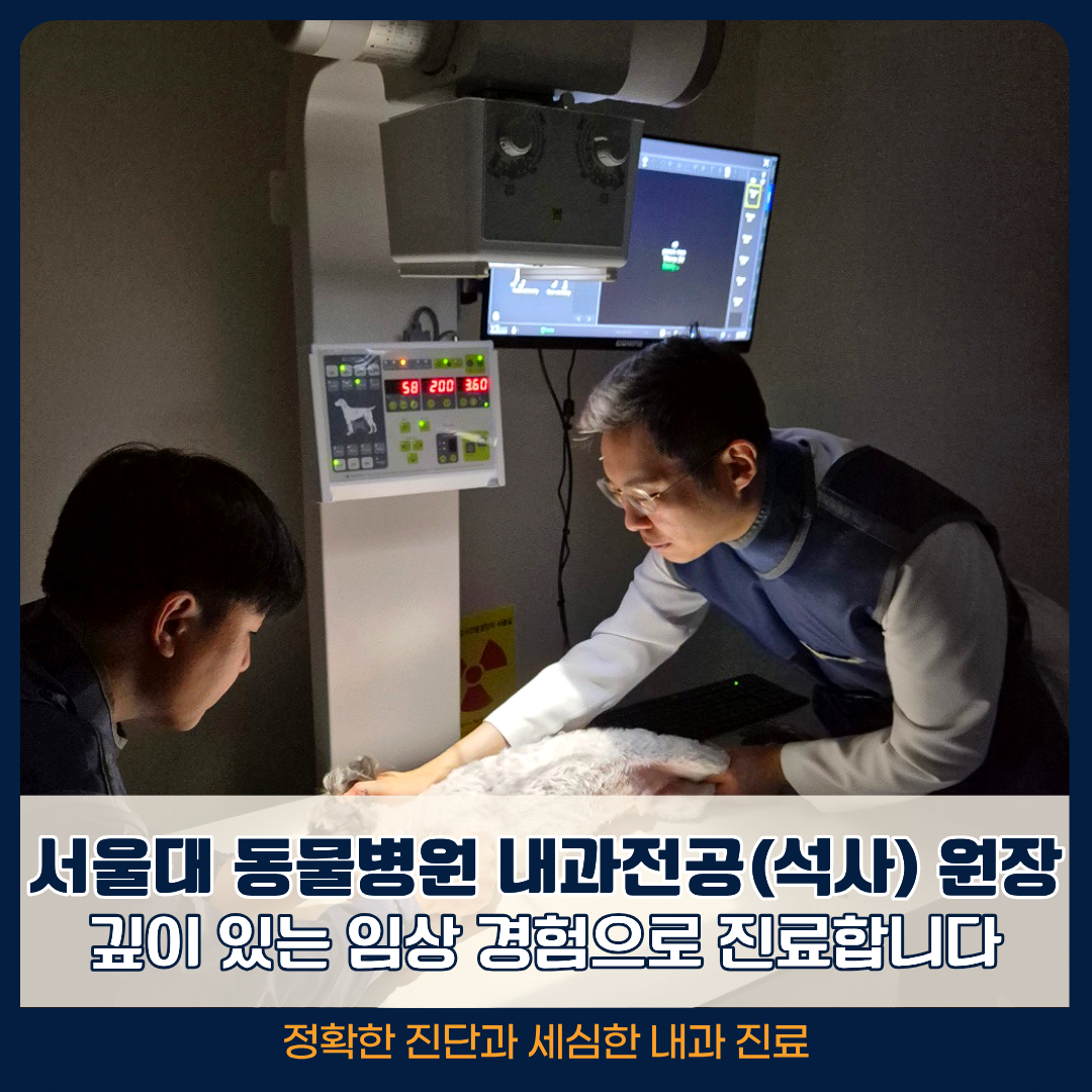 오디세이동물심장내과 대표 이미지